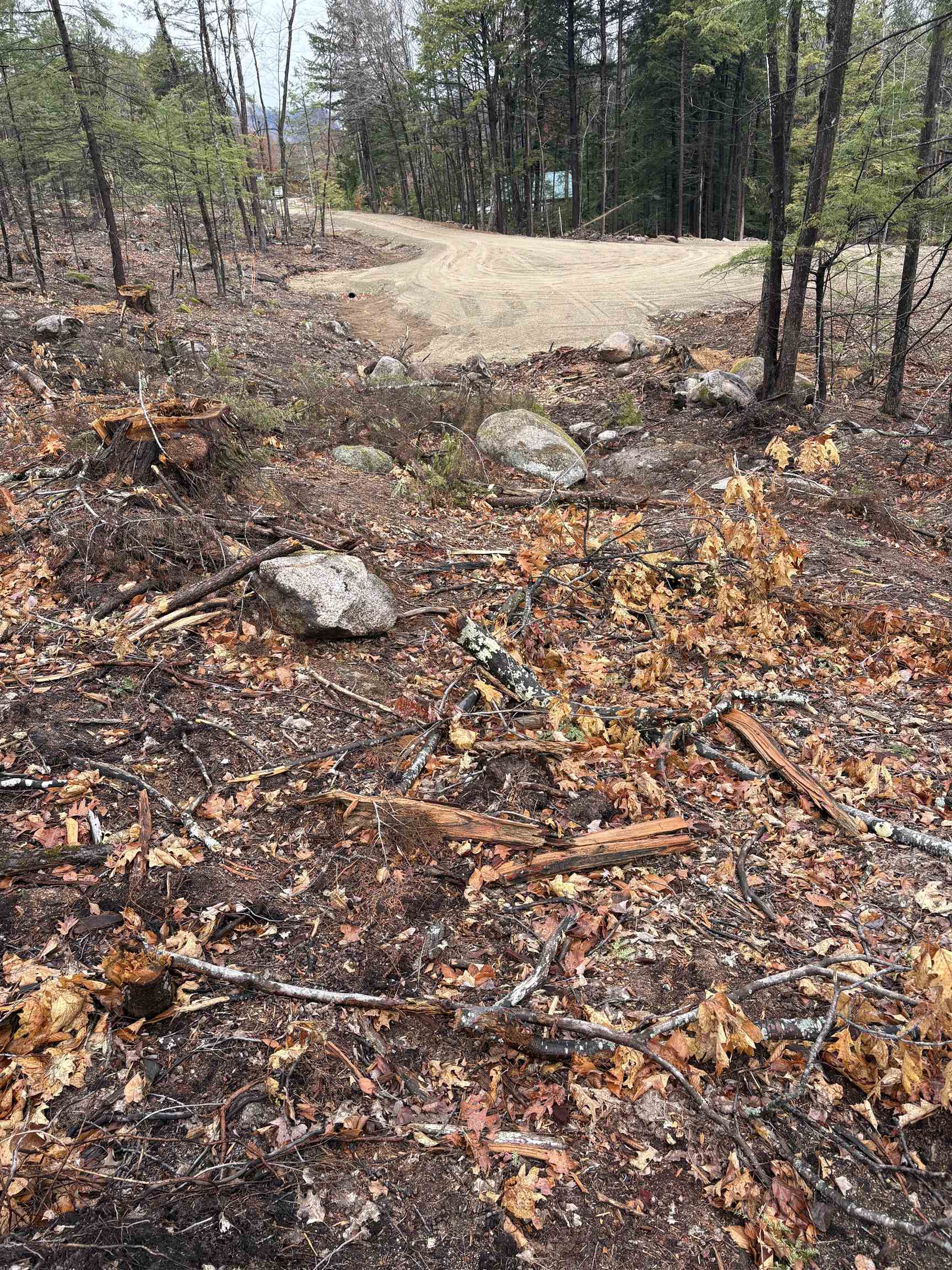 12 Sugarloaf Dr, Ossipee, NH 03814
