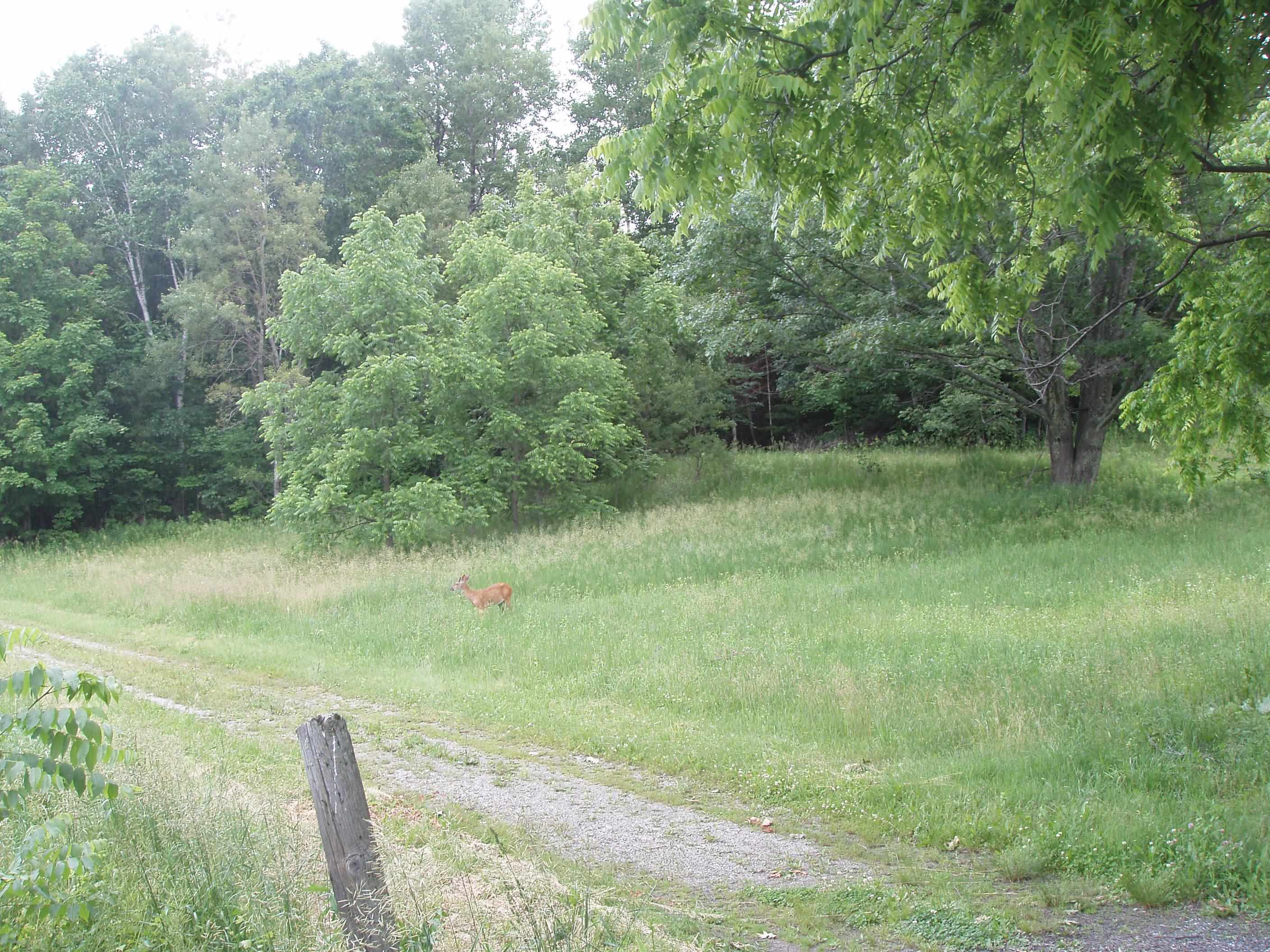 Property photo 23