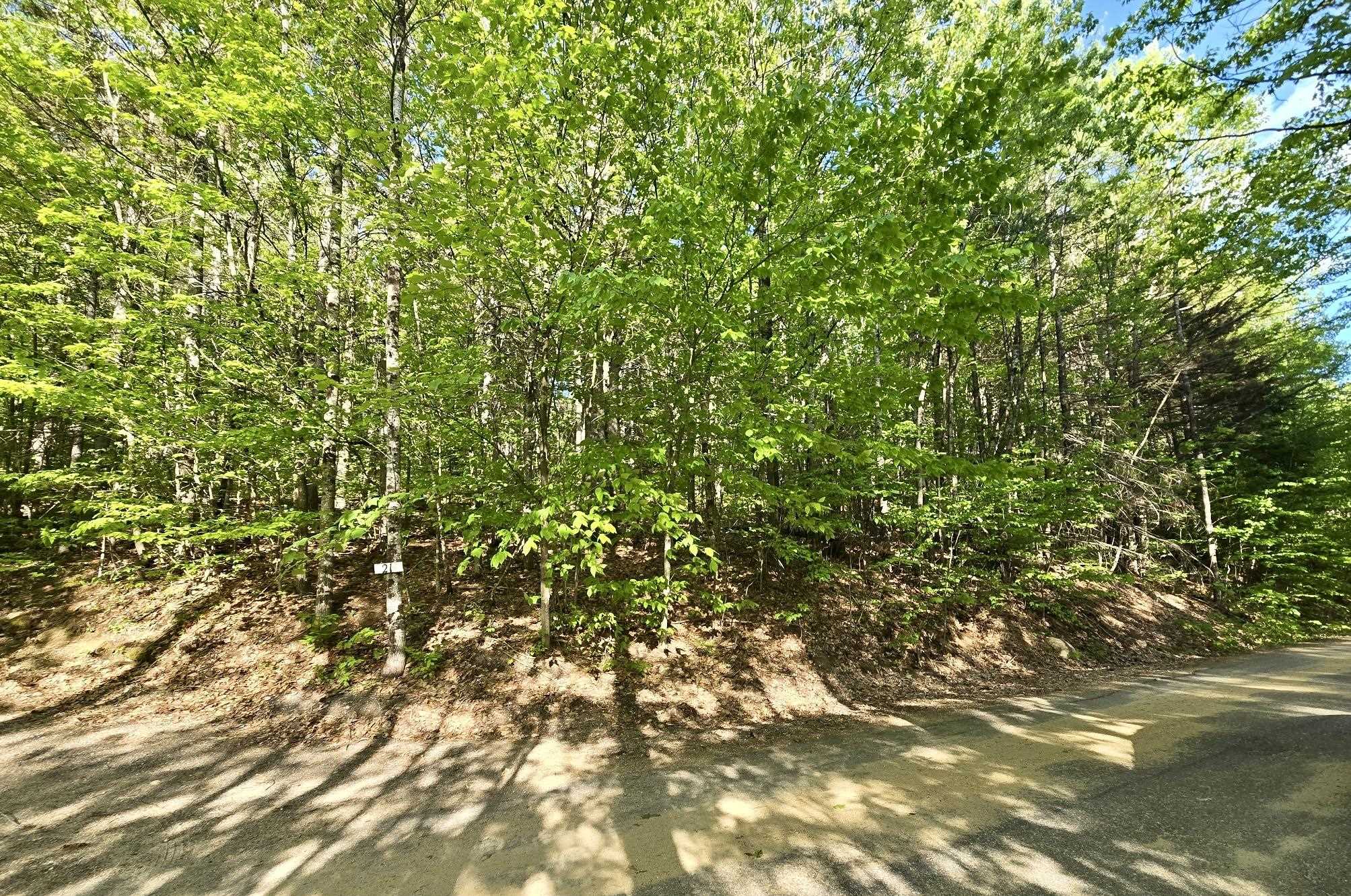 00 Isaac Fox Dr, Campton, NH 03223