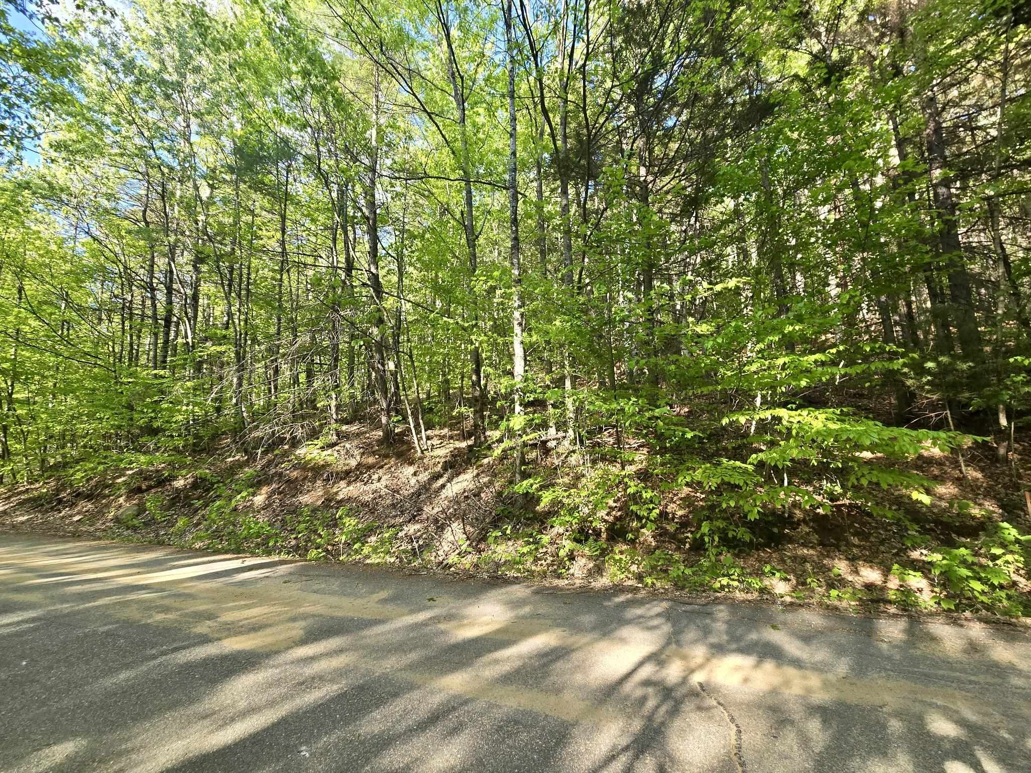 00 Isaac Fox Dr, Campton, NH 03223
