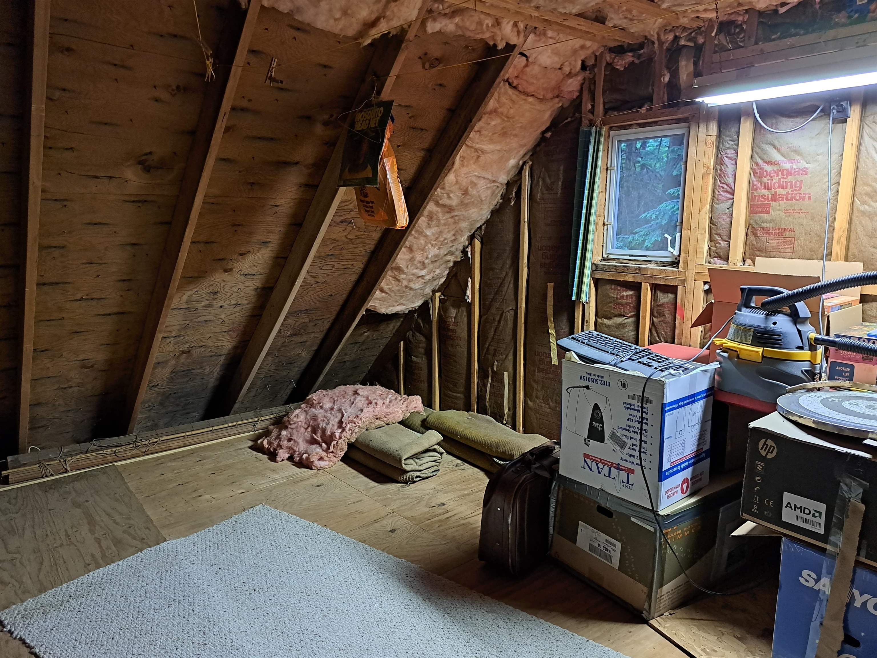 ATTIC 25642349