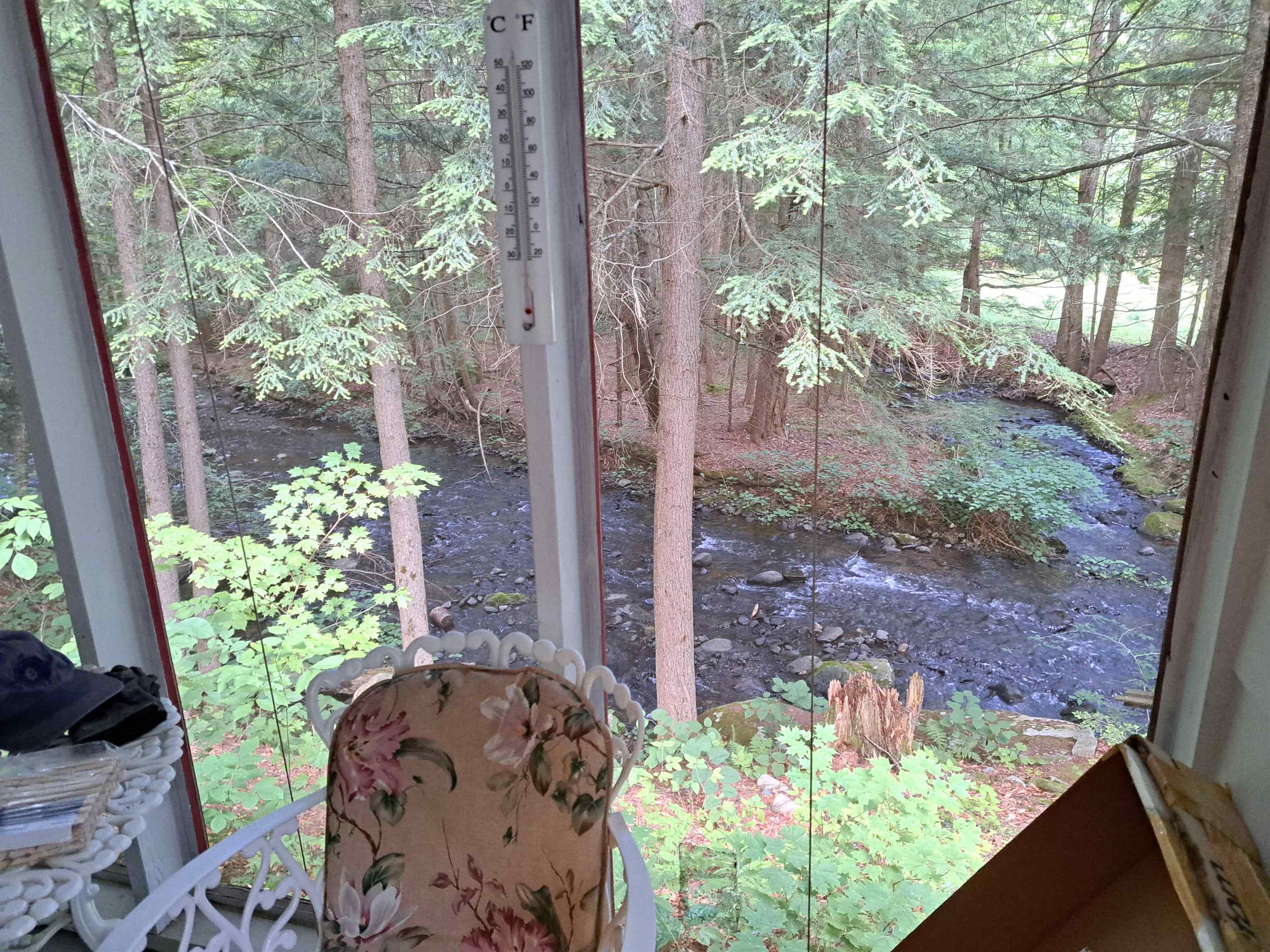 VIEW FROM KITCHEN TABLE 25642714