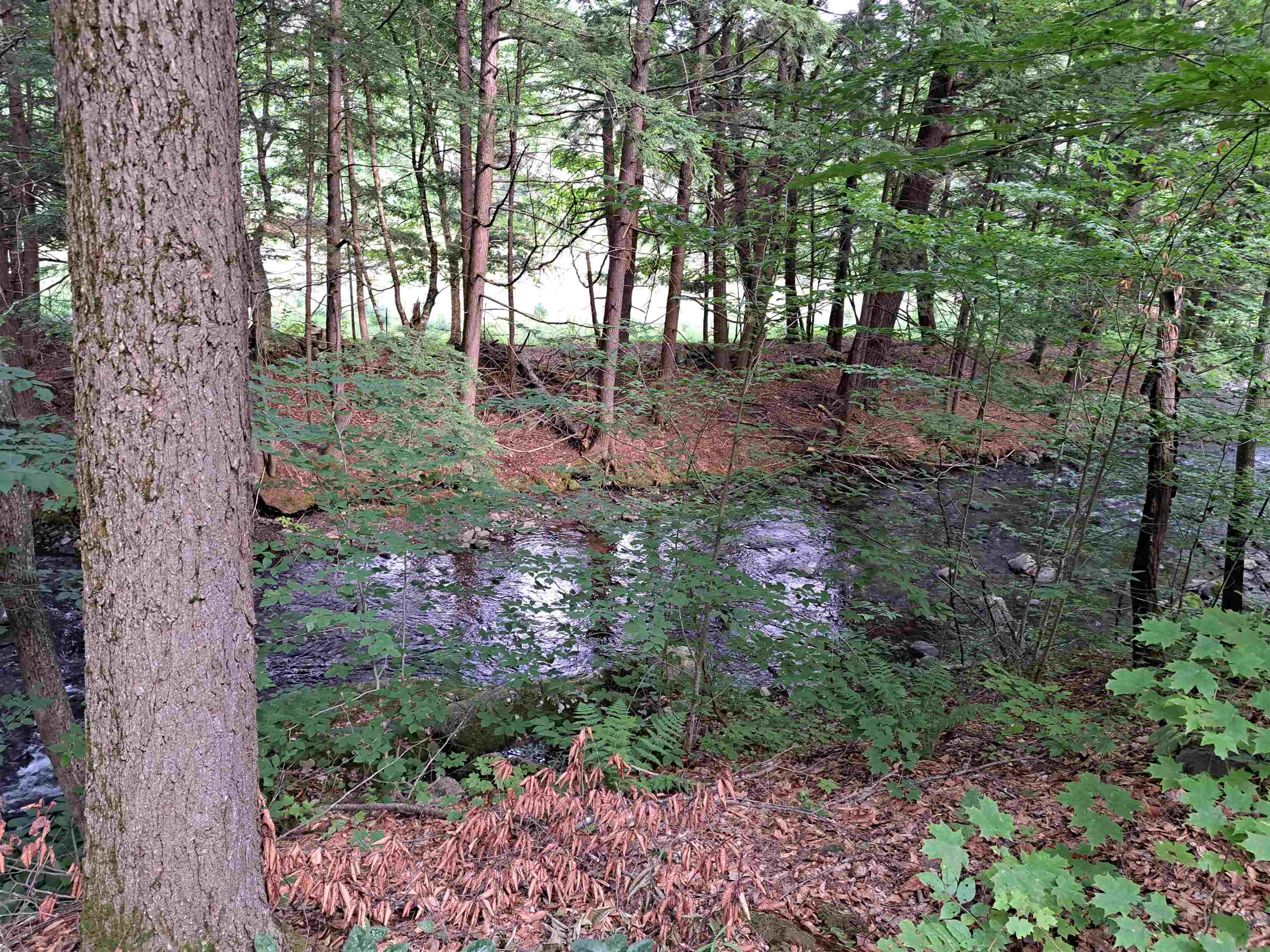 MILL BROOK 25642873