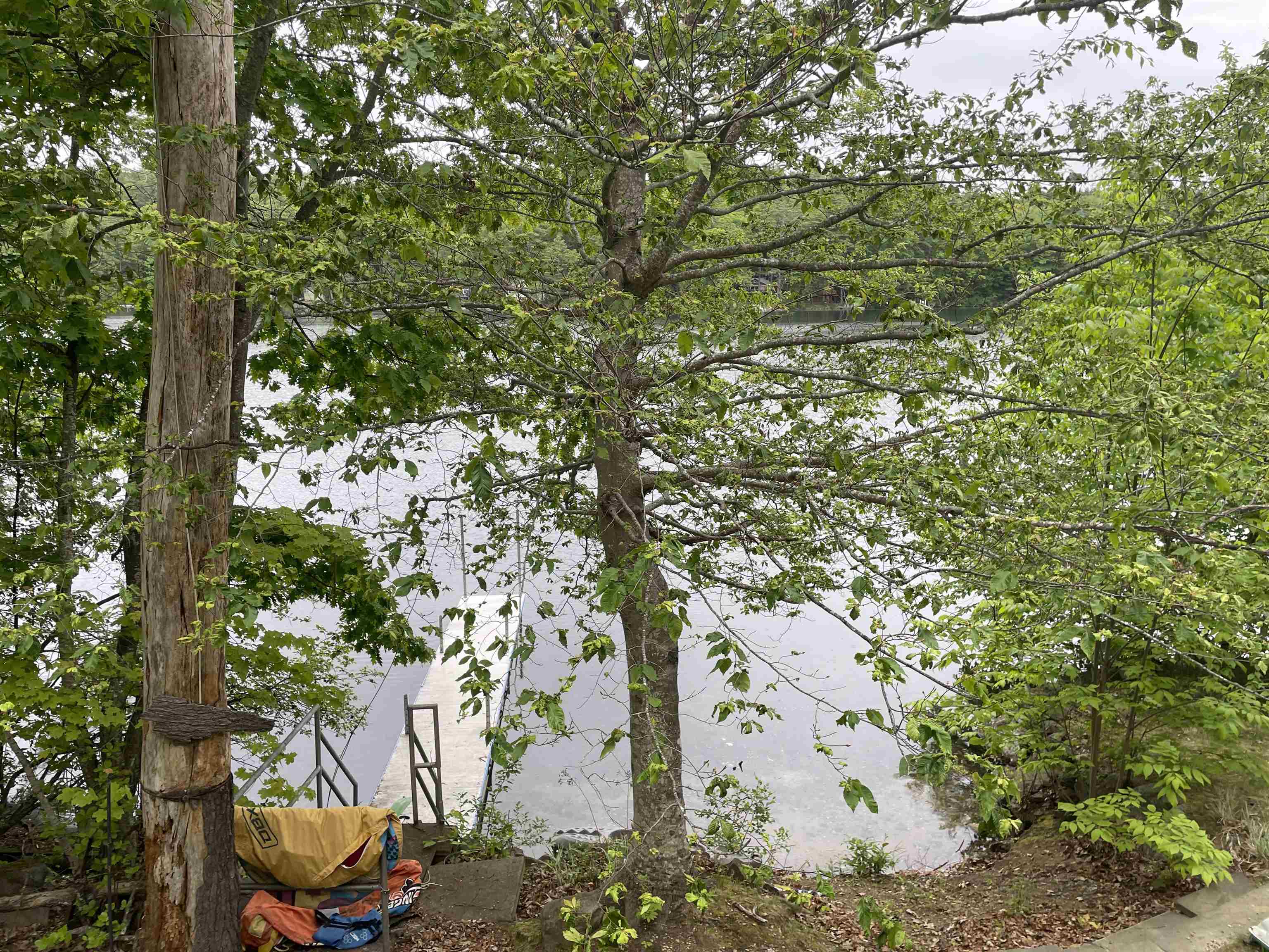 208 Flower Dr, Barrington, NH 03825