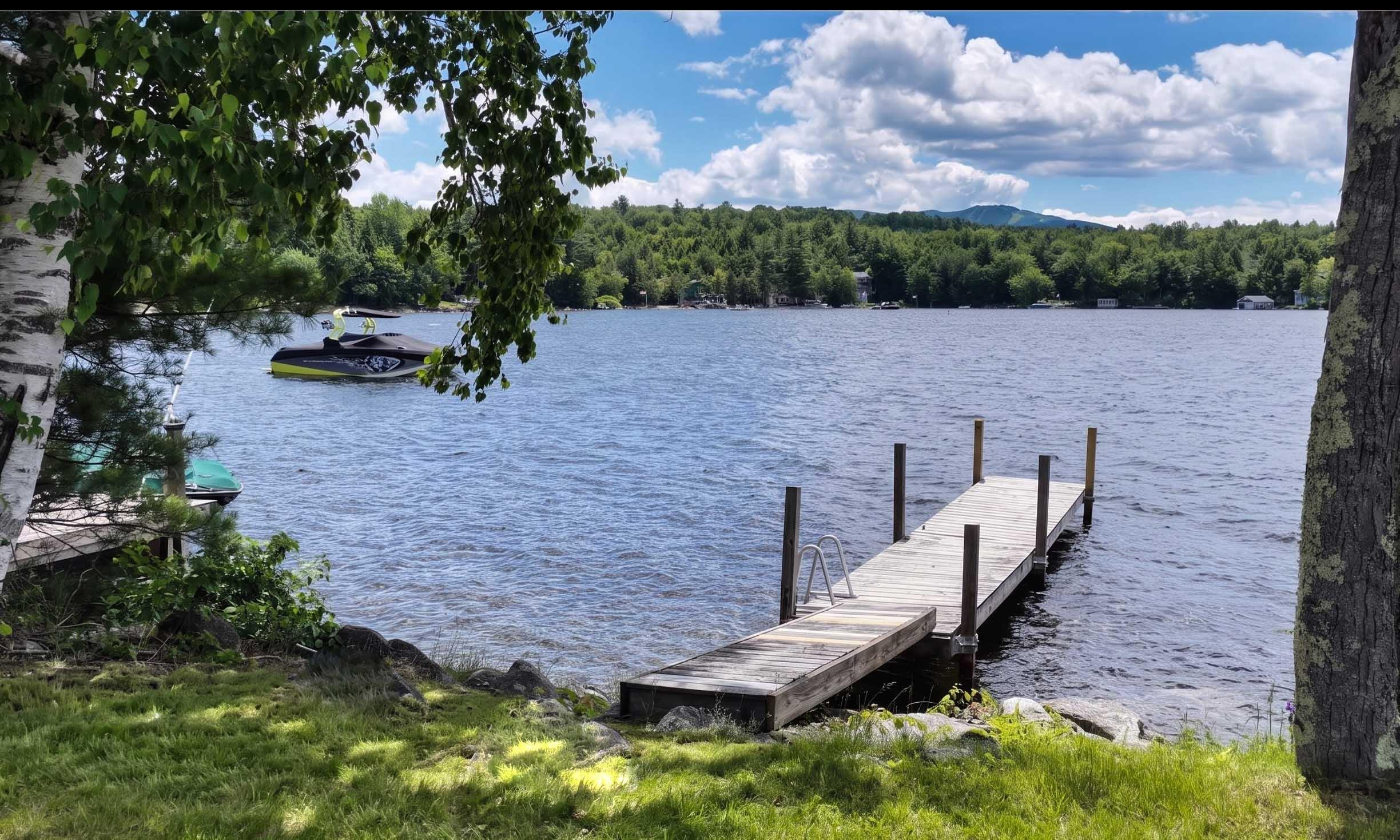 56 Lake Ave, Newbury, NH 03255