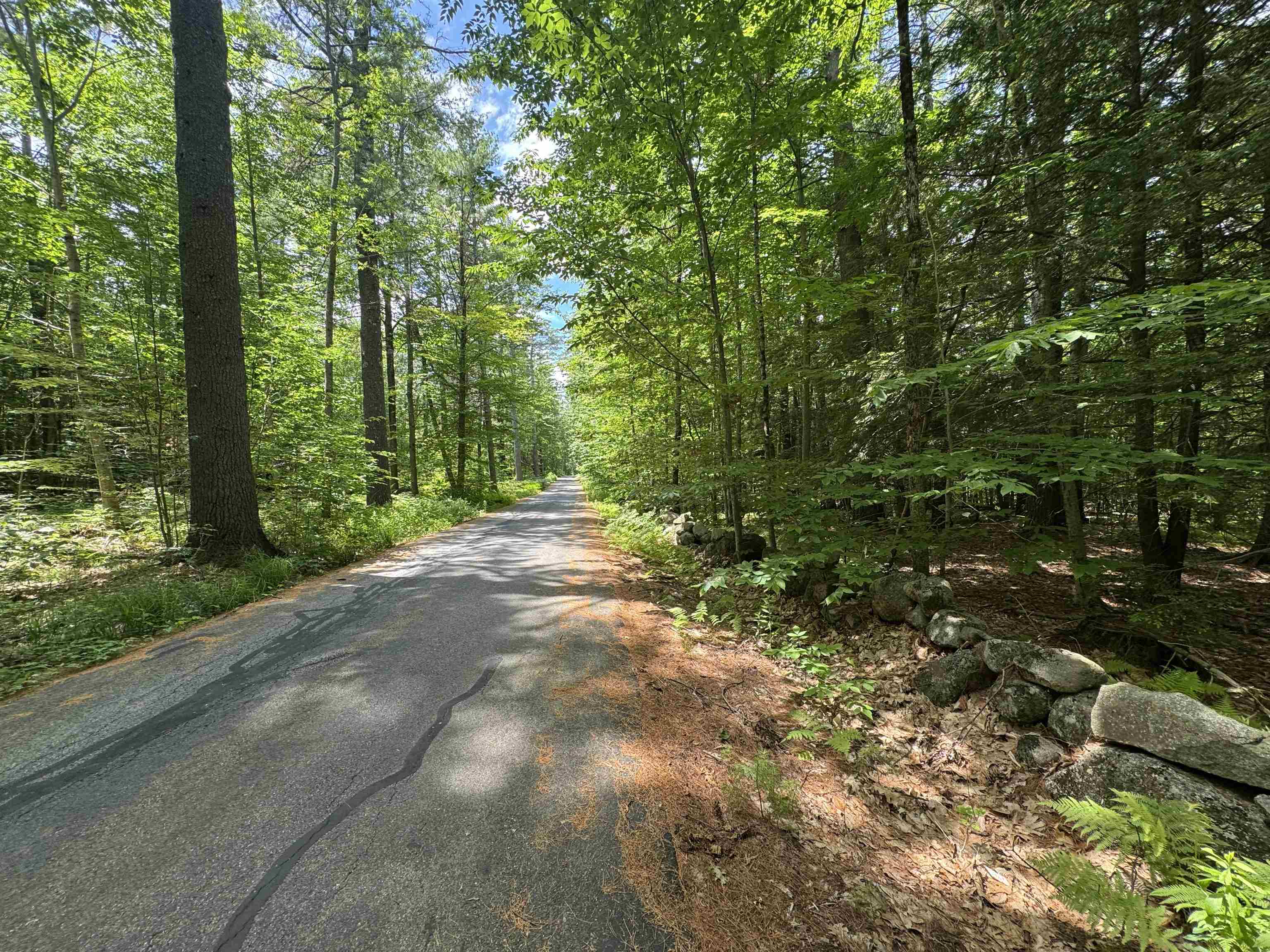 Lot S24-12C Pease Road — photo 3