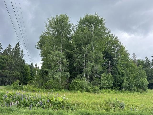 Hilda's Way, Pittsburg, NH 03592