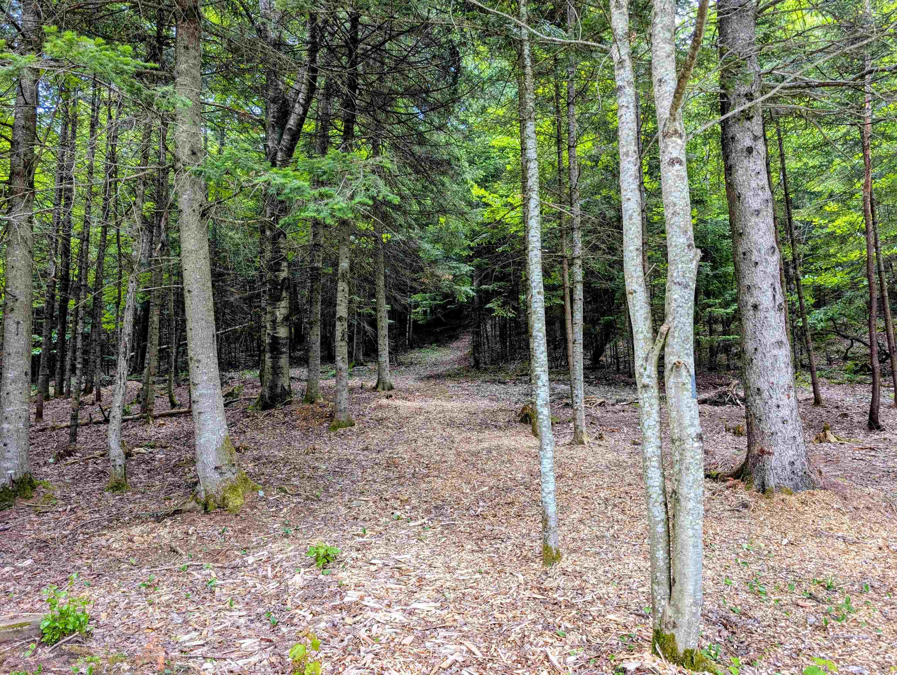 16 Griffin Rd, Stewartstown, NH 03576