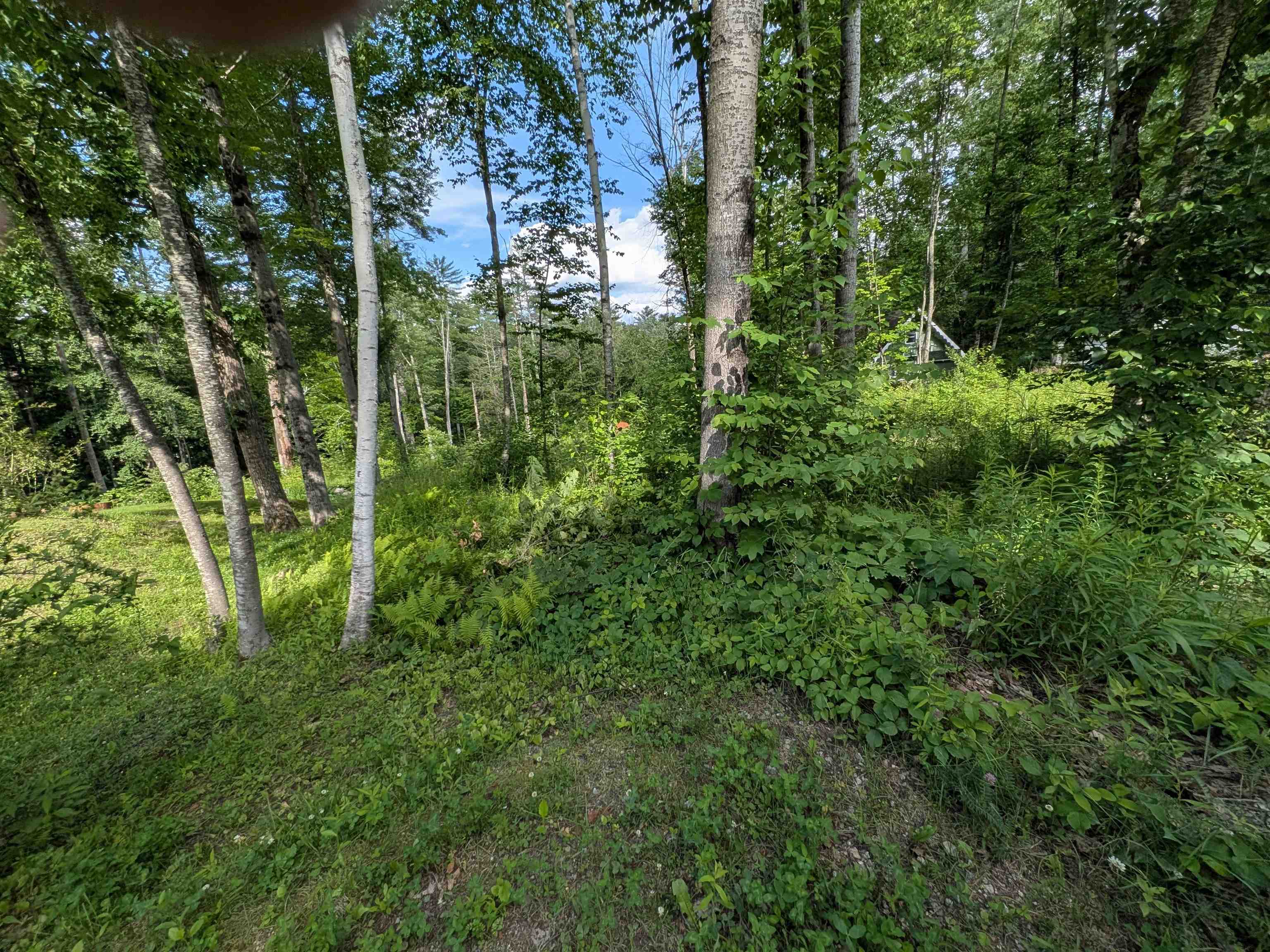 Autumn Rd, Hillsborough, NH 03244
