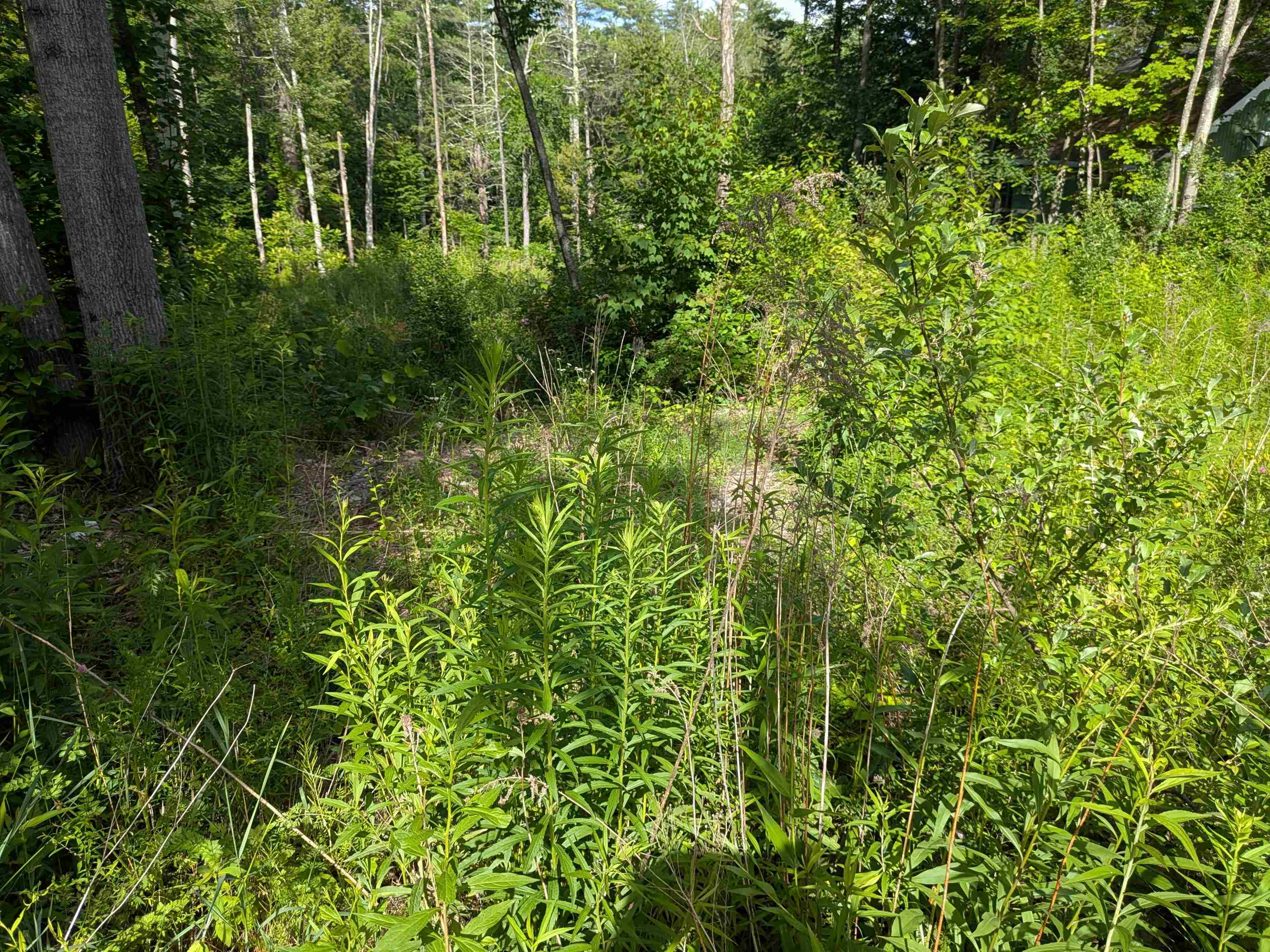 Autumn Rd, Hillsborough, NH 03244
