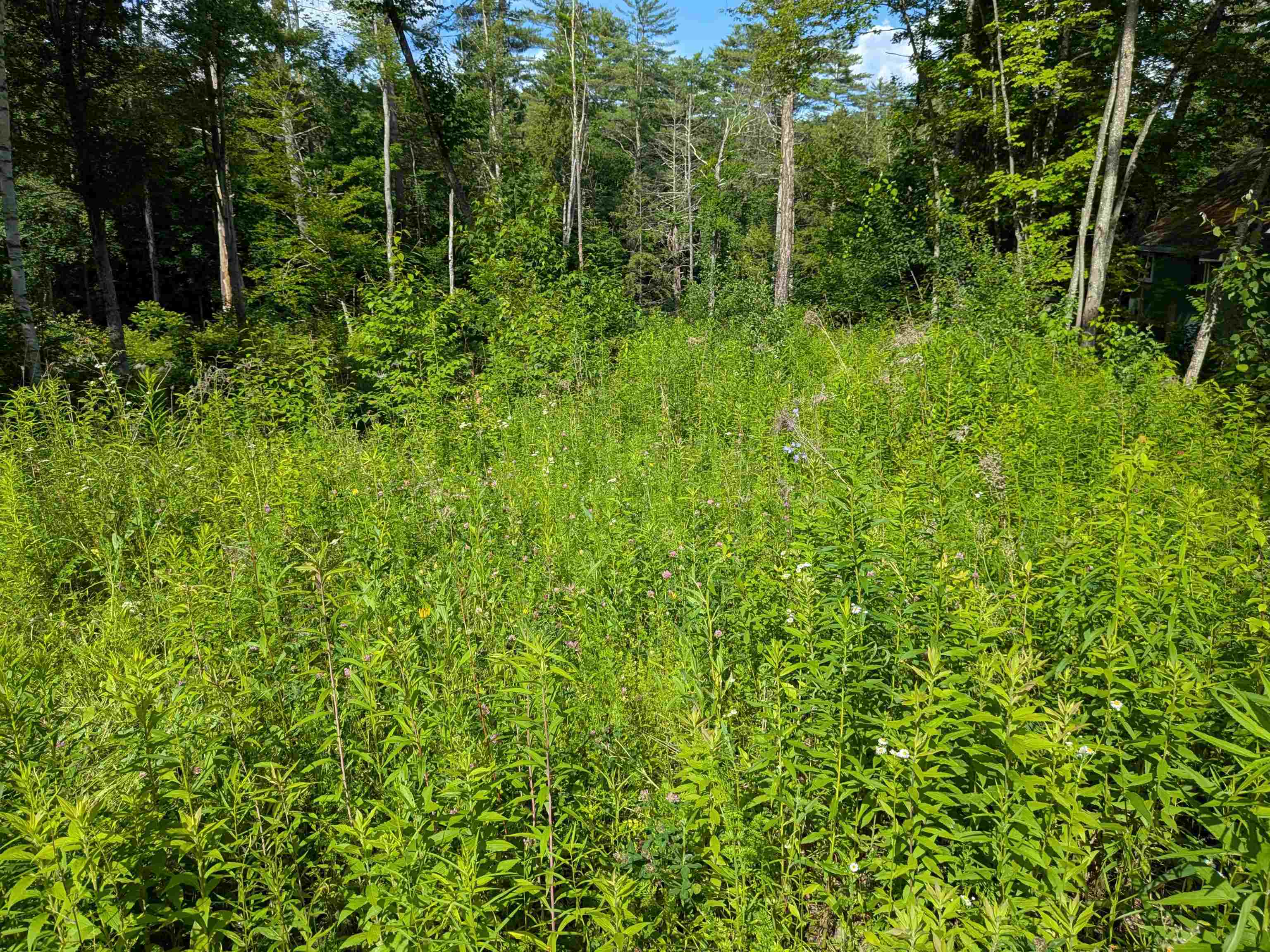 Autumn Rd, Hillsborough, NH 03244