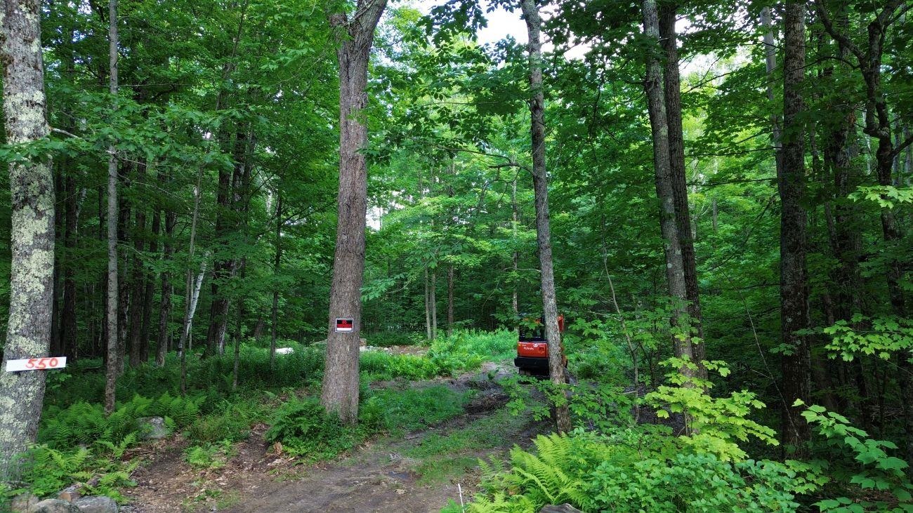 550 Kings Hw, Stoddard, NH 03464