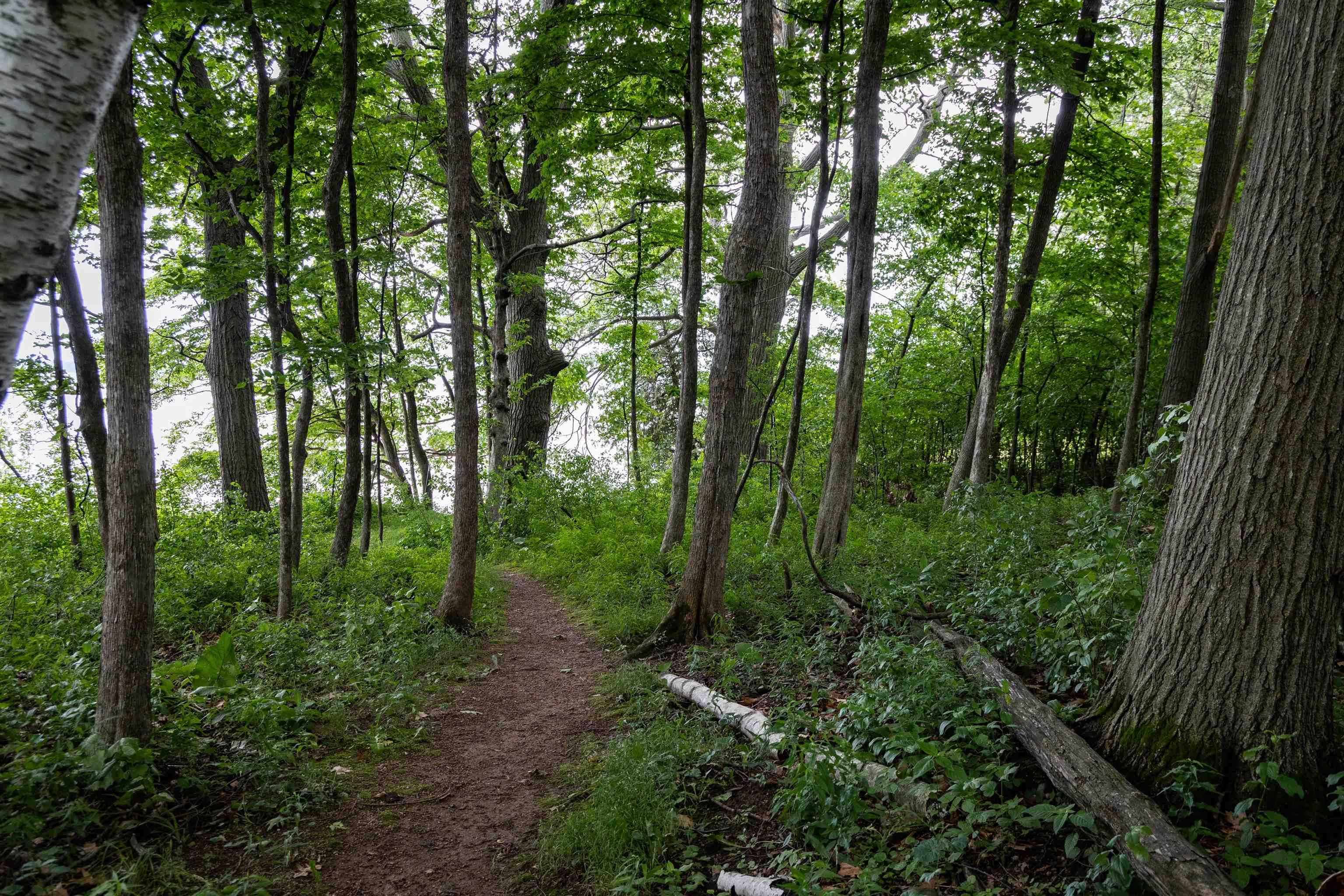 Property photo 47