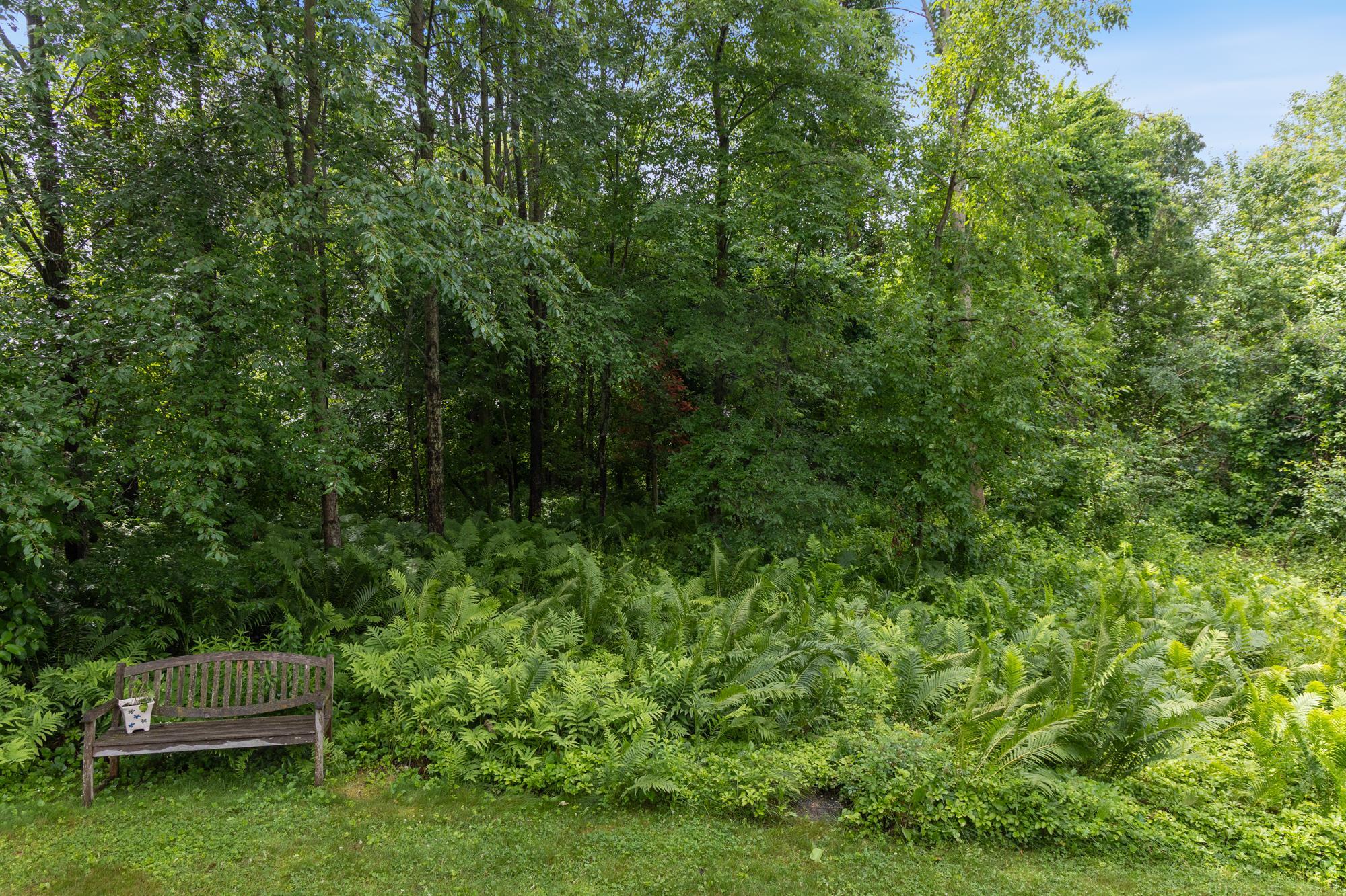 Property photo 51