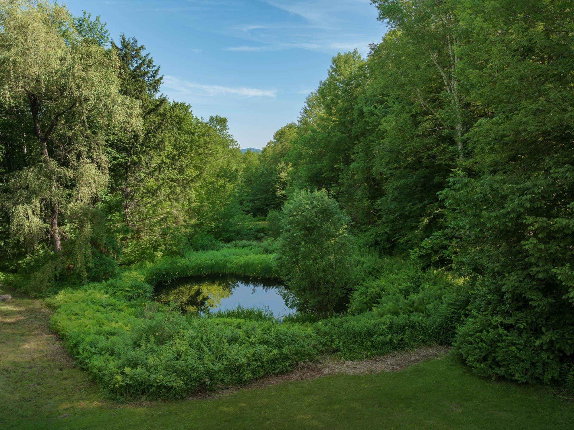 Property photo 39