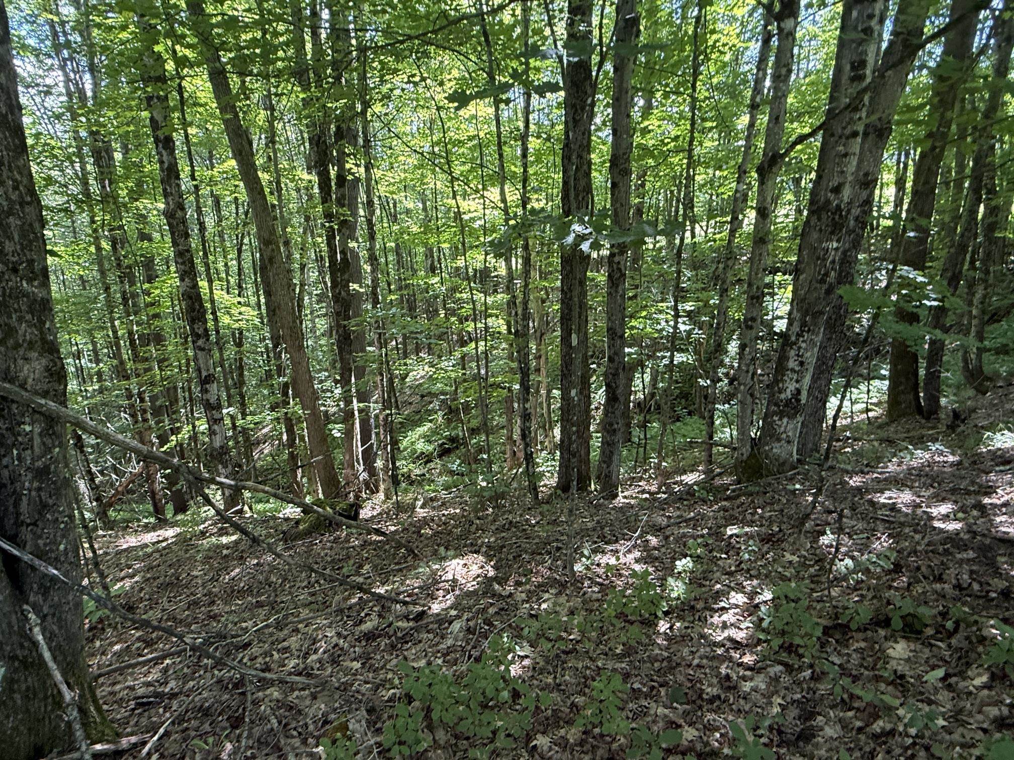 Property photo 12