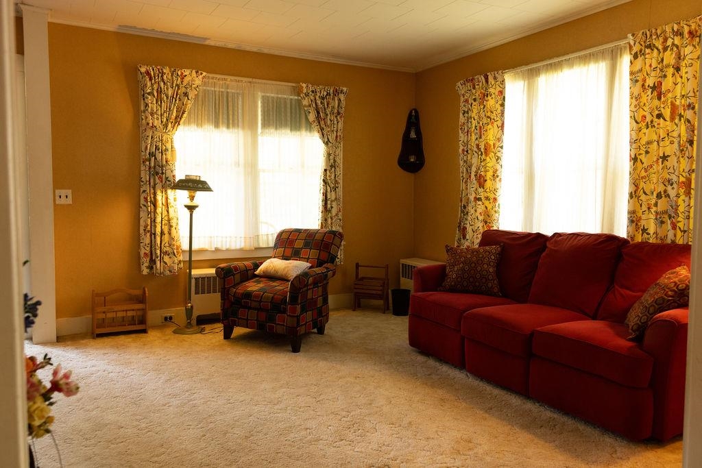 Picture 8