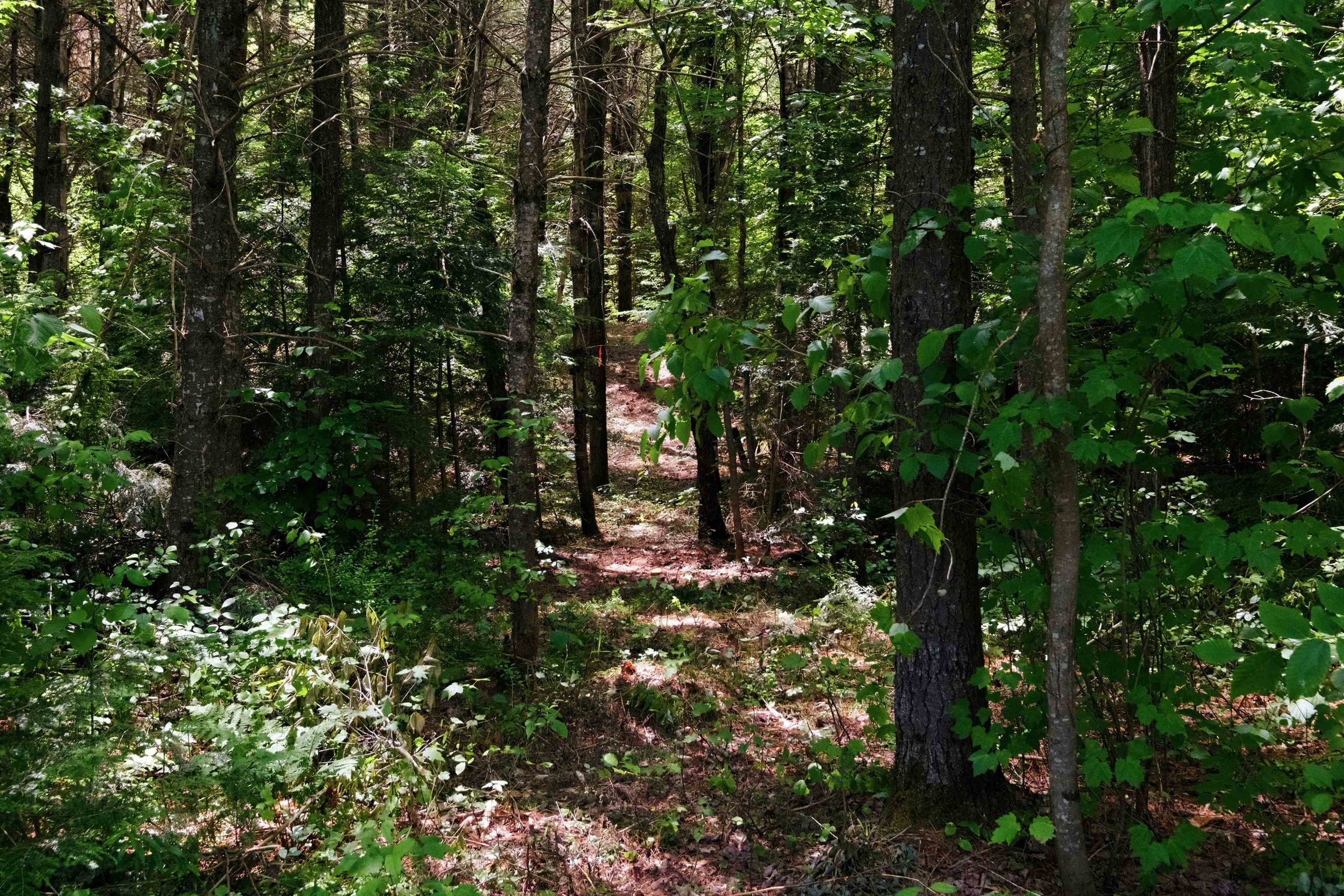 00 Nh 103 Route, Warner, NH 03278