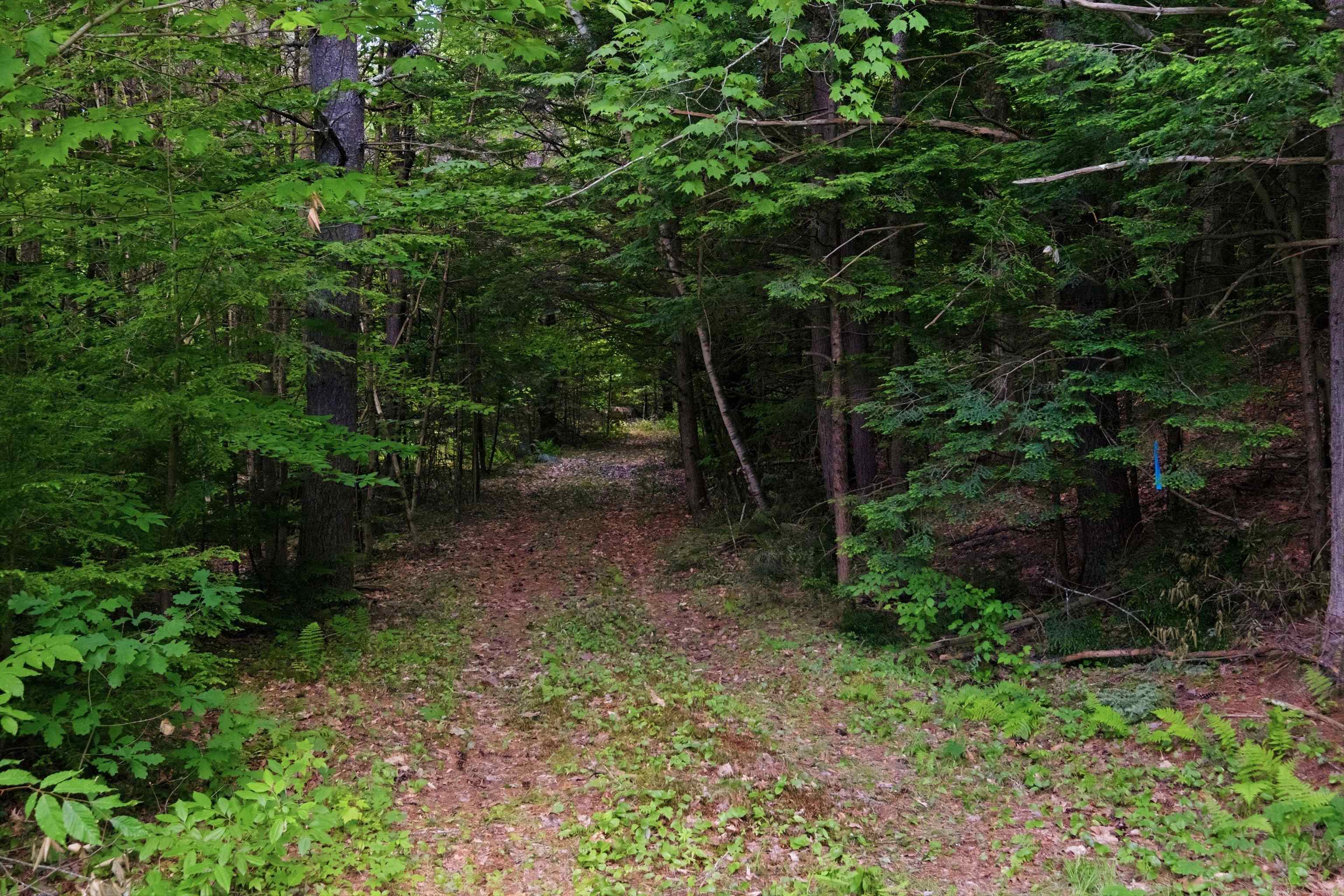 00 Nh 103 Route, Warner, NH 03278
