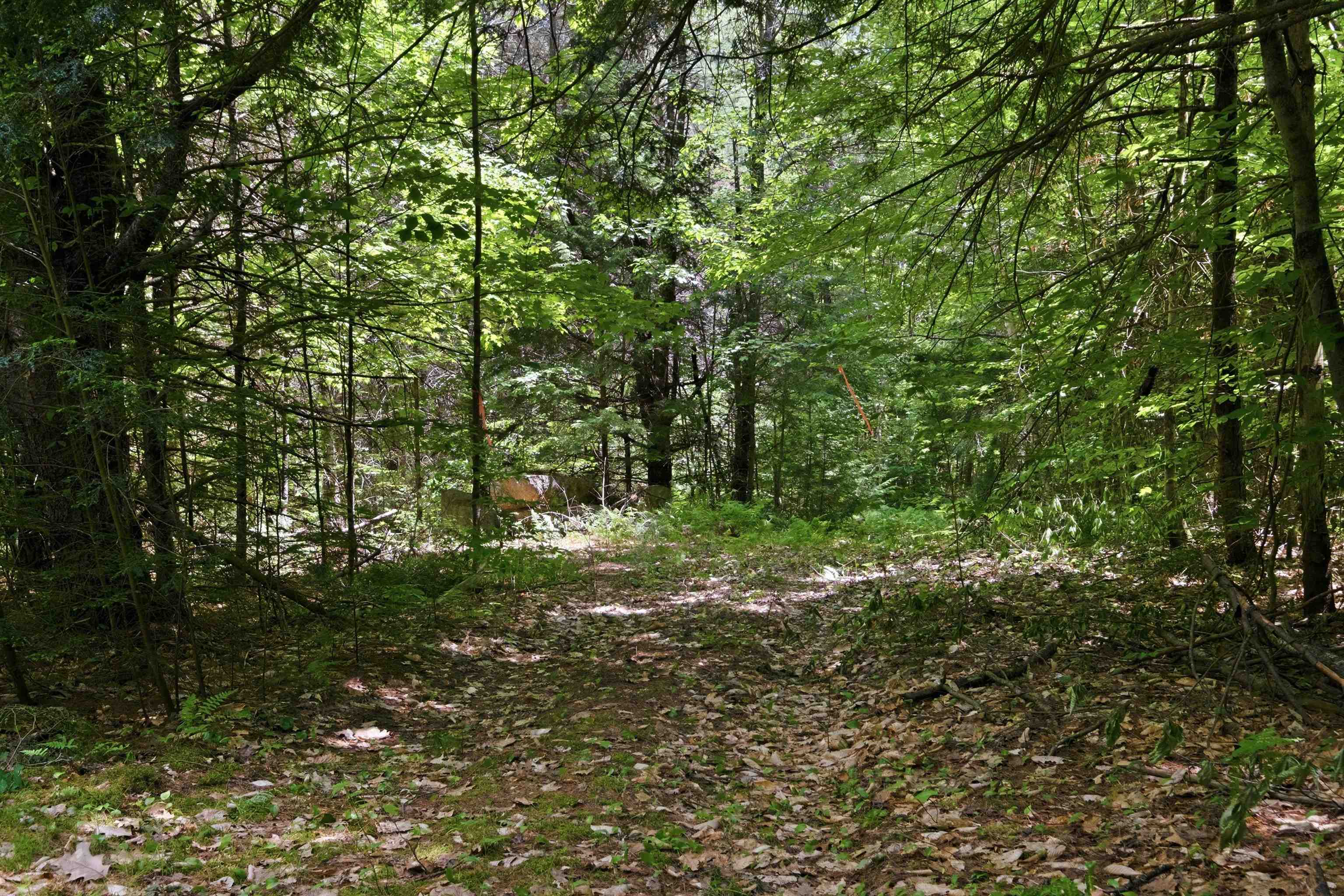 00 Nh 103 Route, Warner, NH 03278