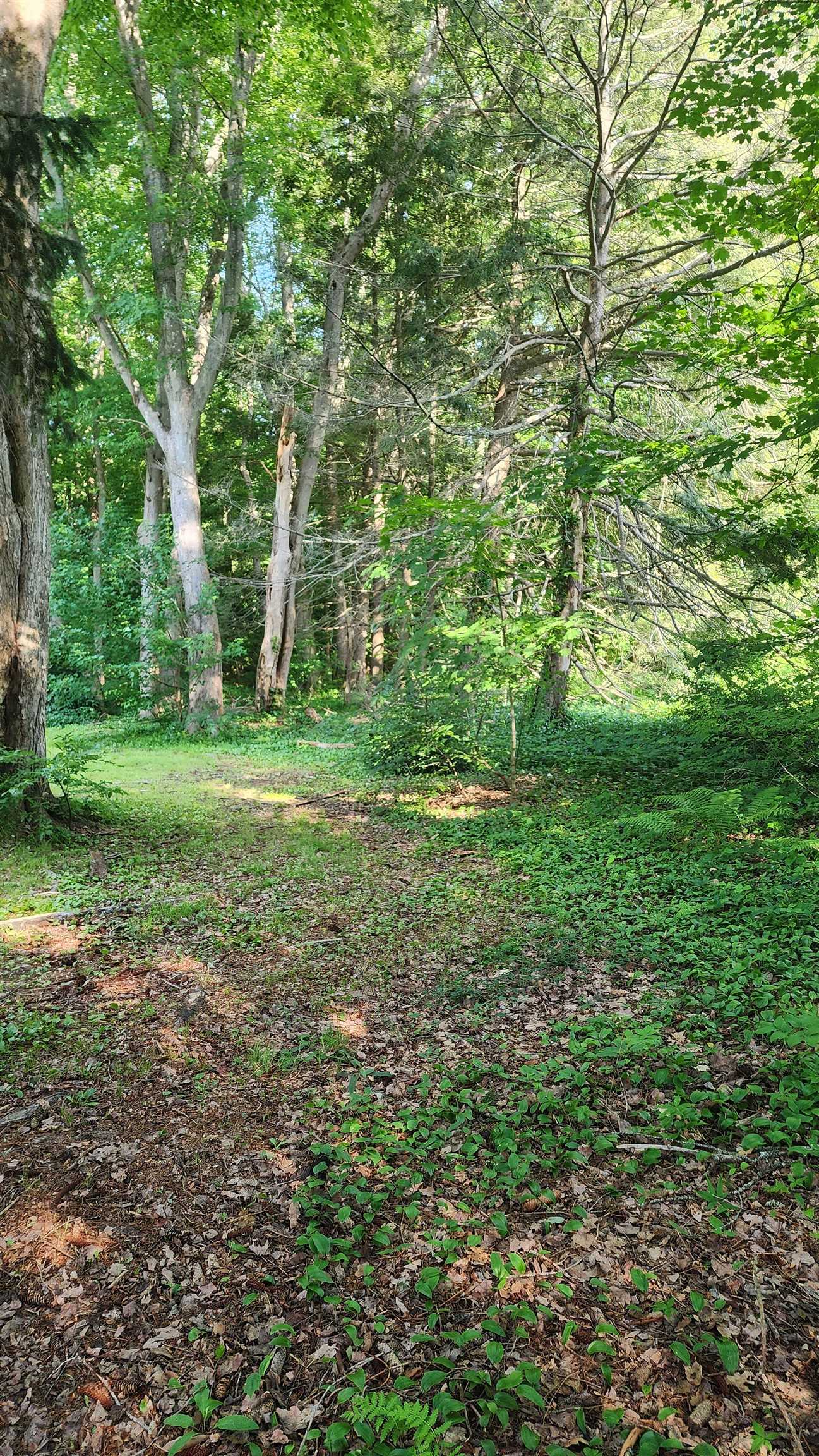 Towle Ave, Hampton, NH 03842