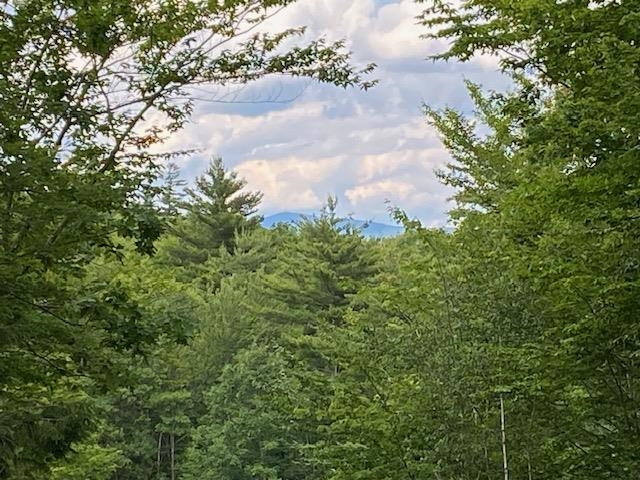 Mt Kearsarge View 25655344