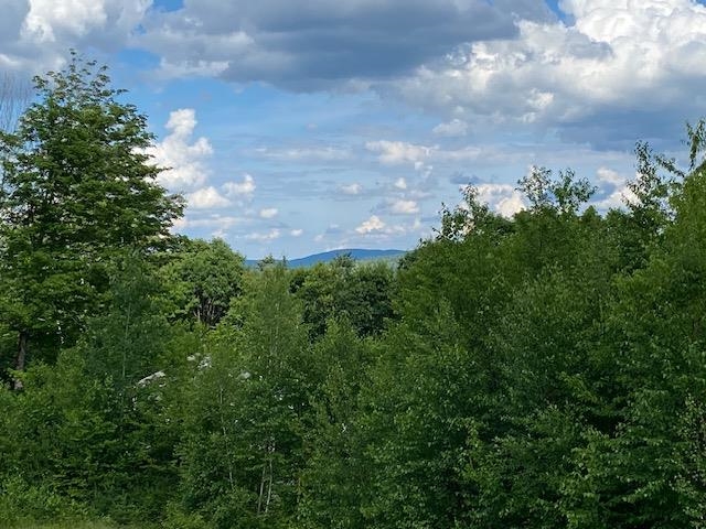 View from out back 25655380