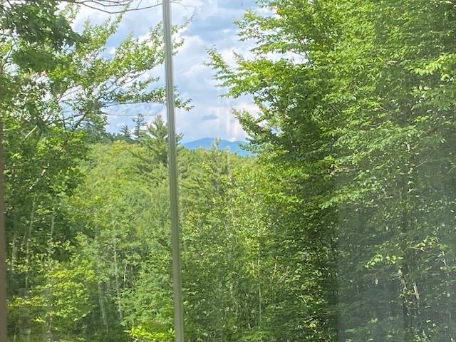 Sunroom View 25655321