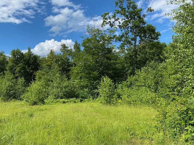 Back yard above house 25655377