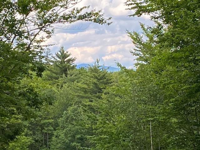 Another view from above 25655343