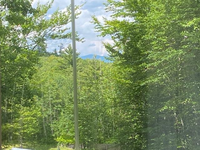 The View from the sunroom 25655320