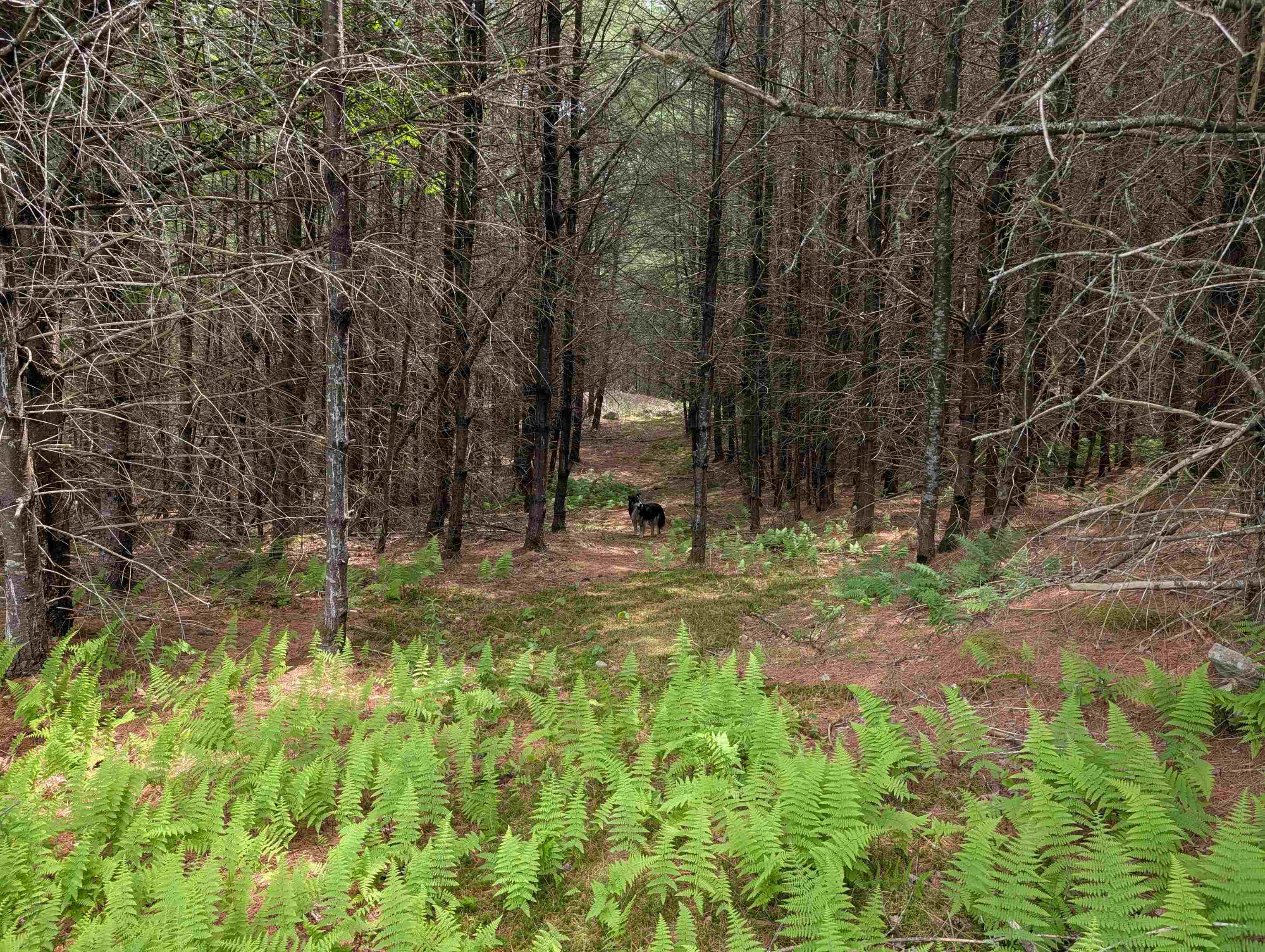 70 High Ridge Rd, Moultonborough, NH 03254