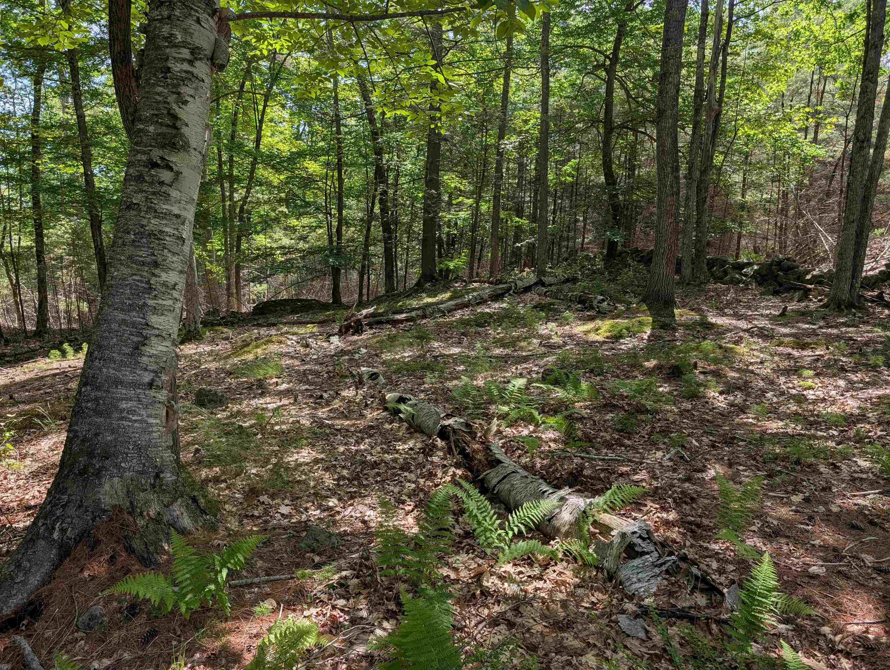 70 High Ridge Rd, Moultonborough, NH 03254