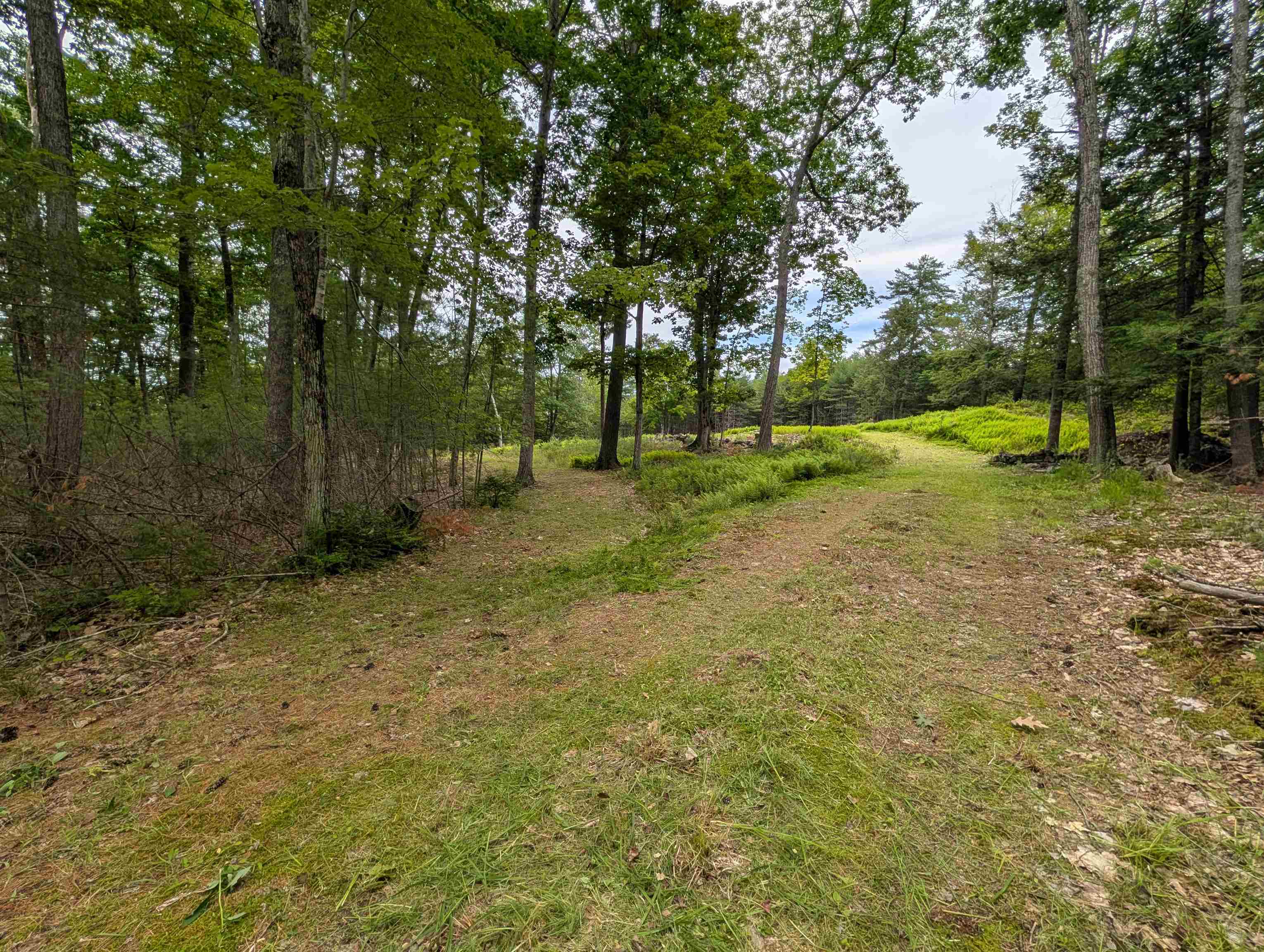 70 High Ridge Road — photo 3