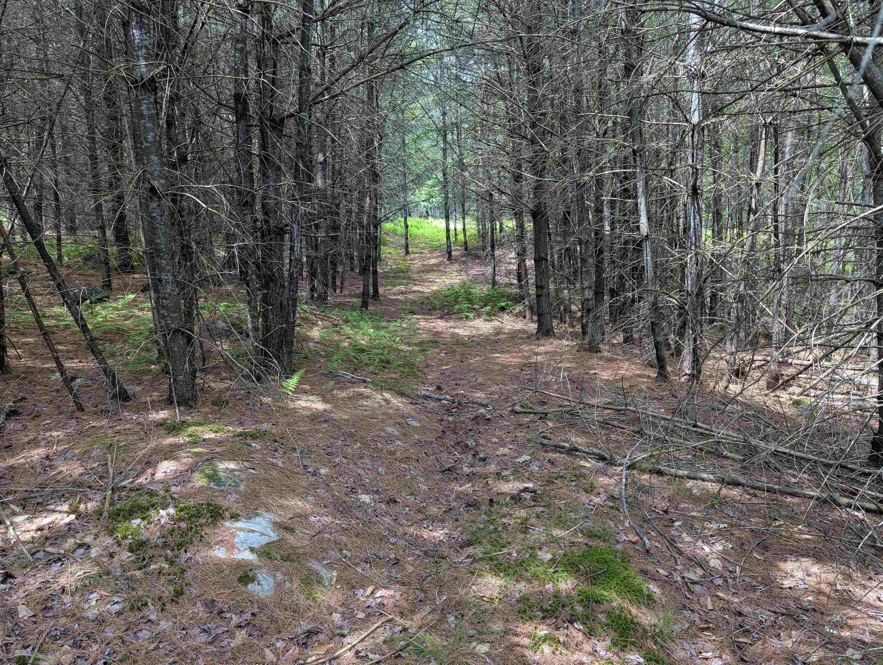 70 High Ridge Rd, Moultonborough, NH 03254