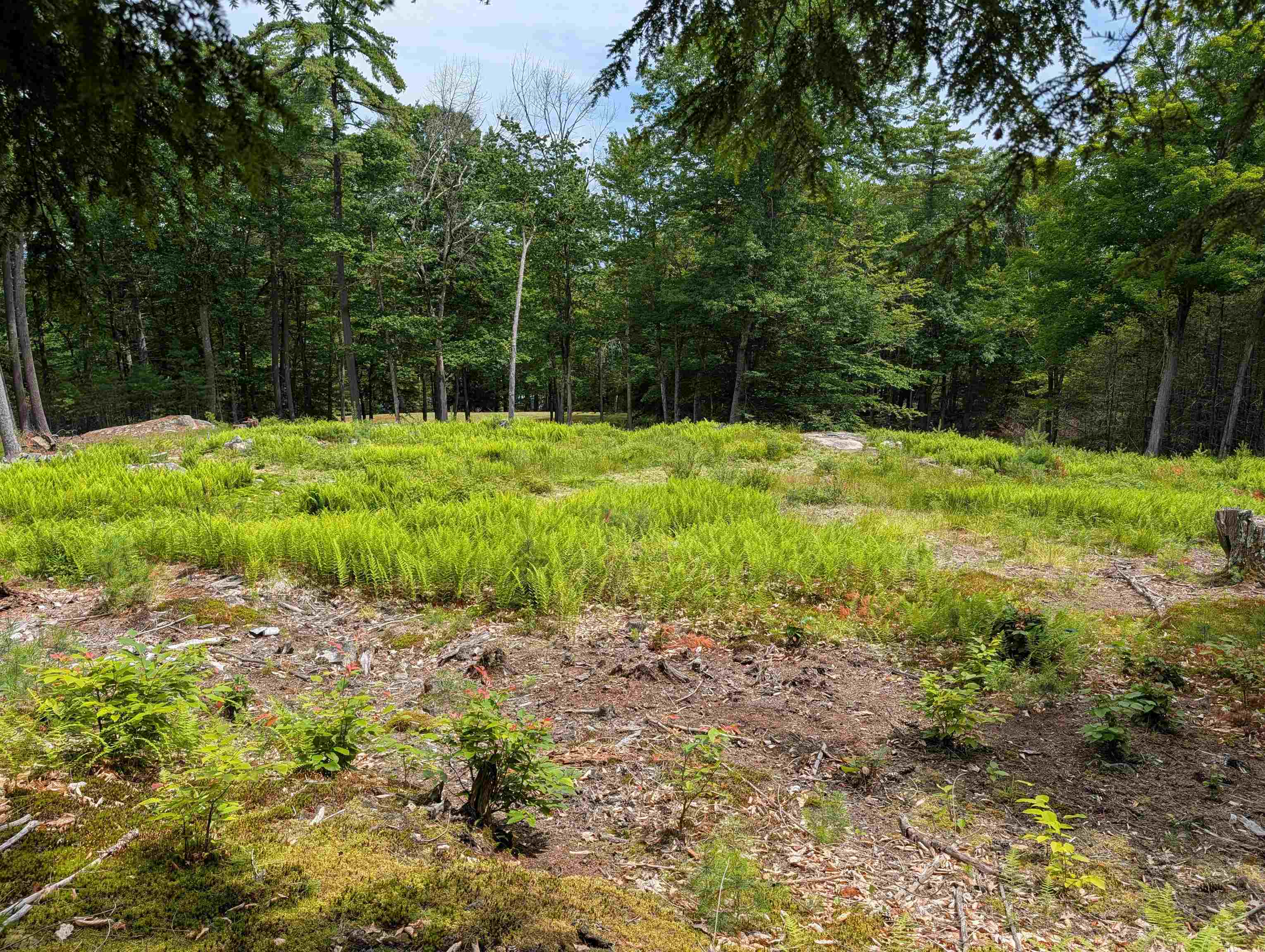70 High Ridge Rd, Moultonborough, NH 03254