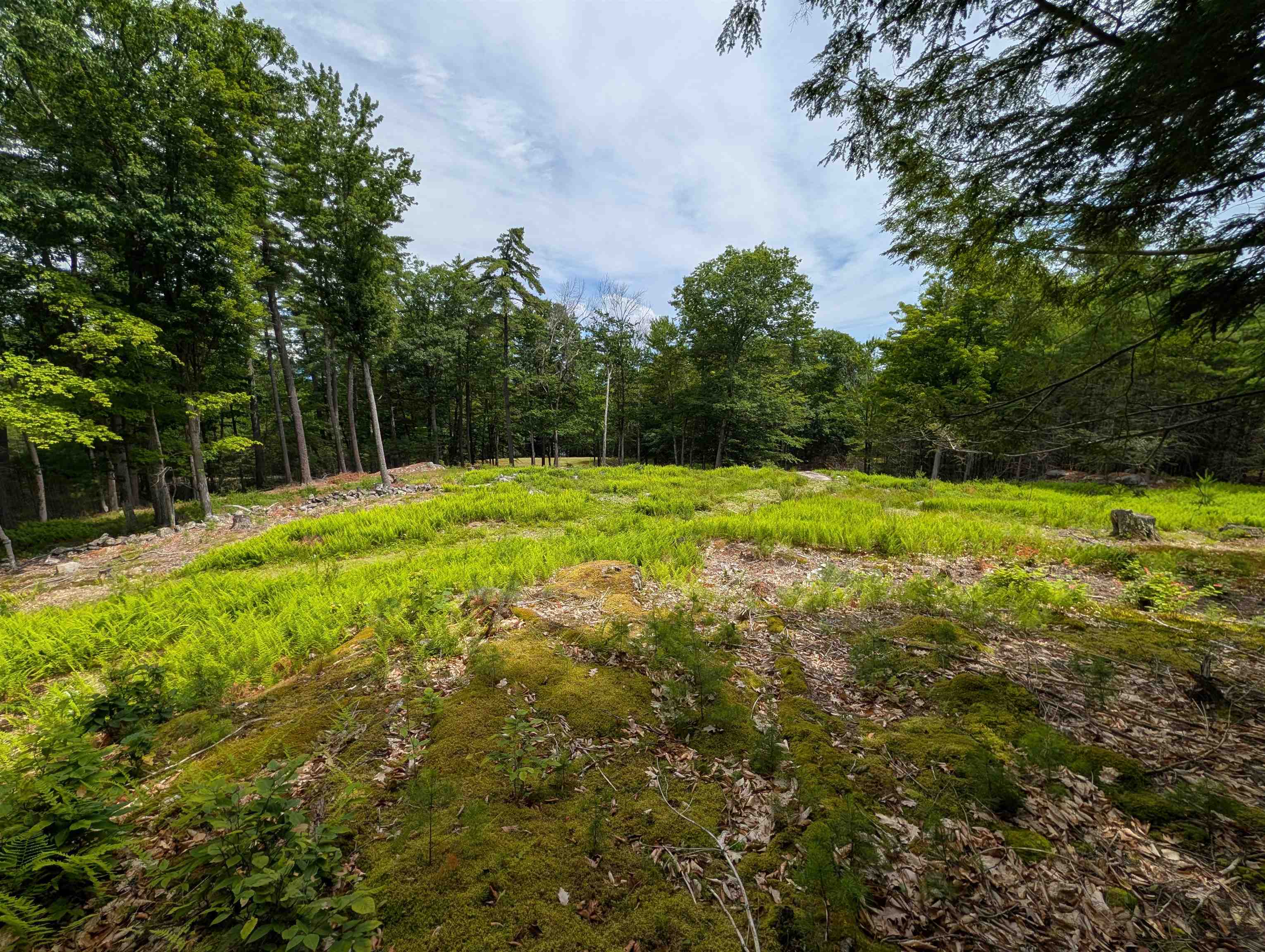 70 High Ridge Rd, Moultonborough, NH 03254