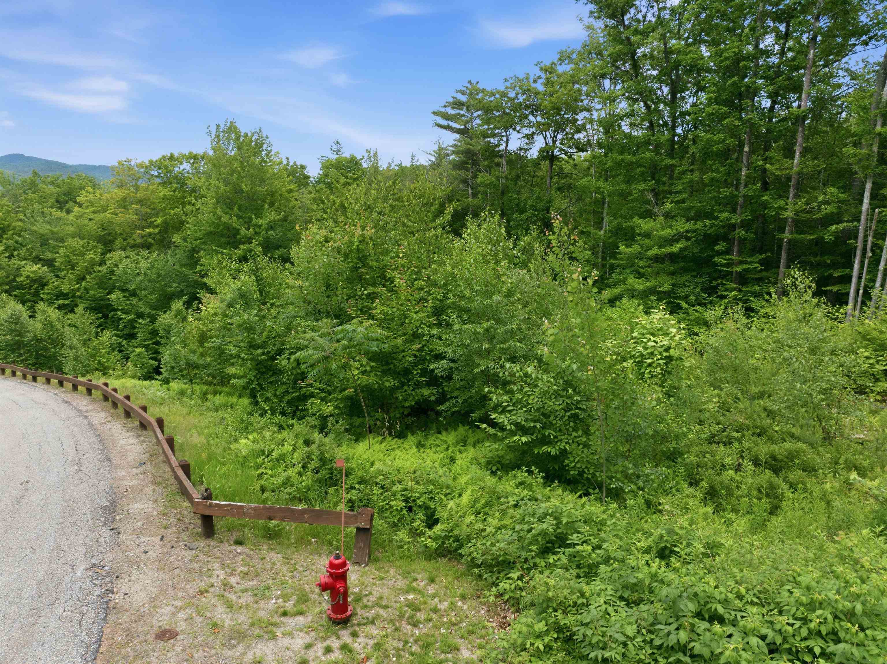 6 Squam River Ldg, Ashland, NH 03217
