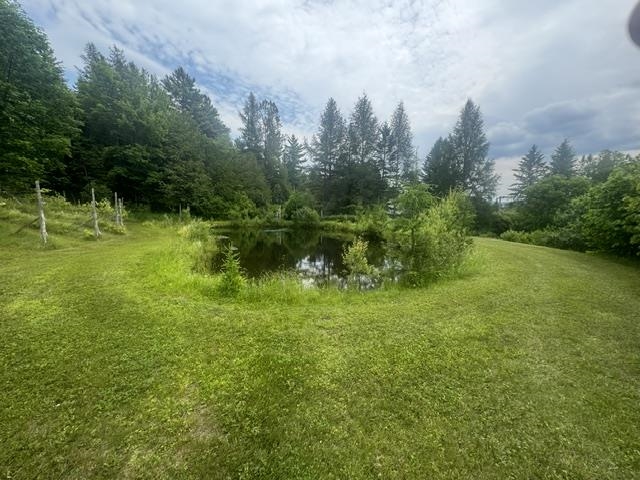 Property photo 42