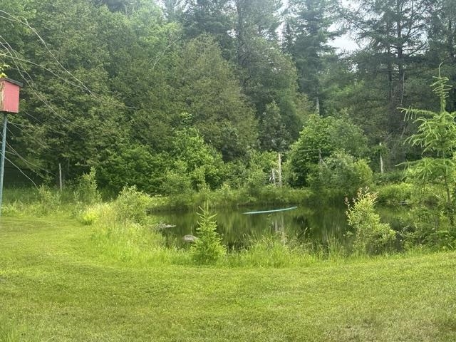 Property photo 43