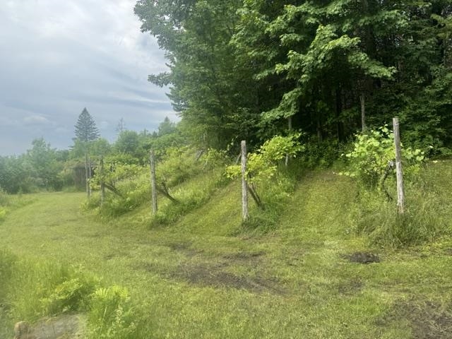 Property photo 44