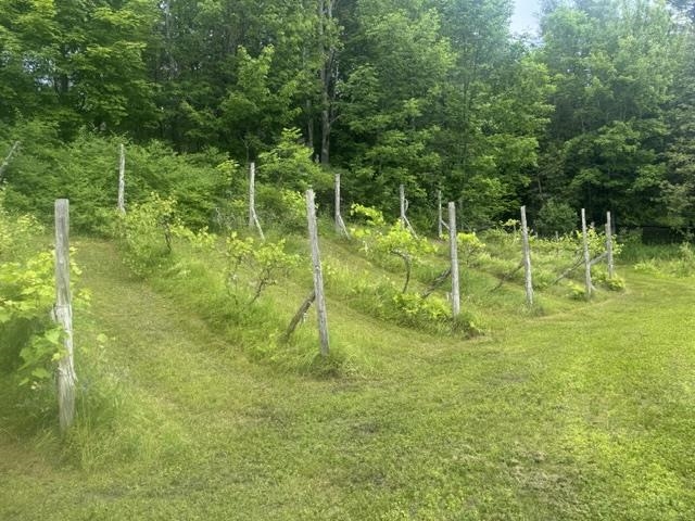Property photo 45