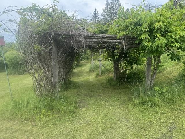 Property photo 46