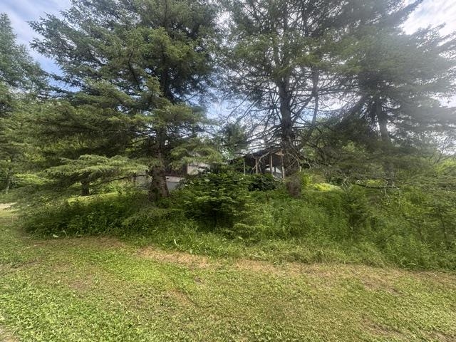 Property photo 47