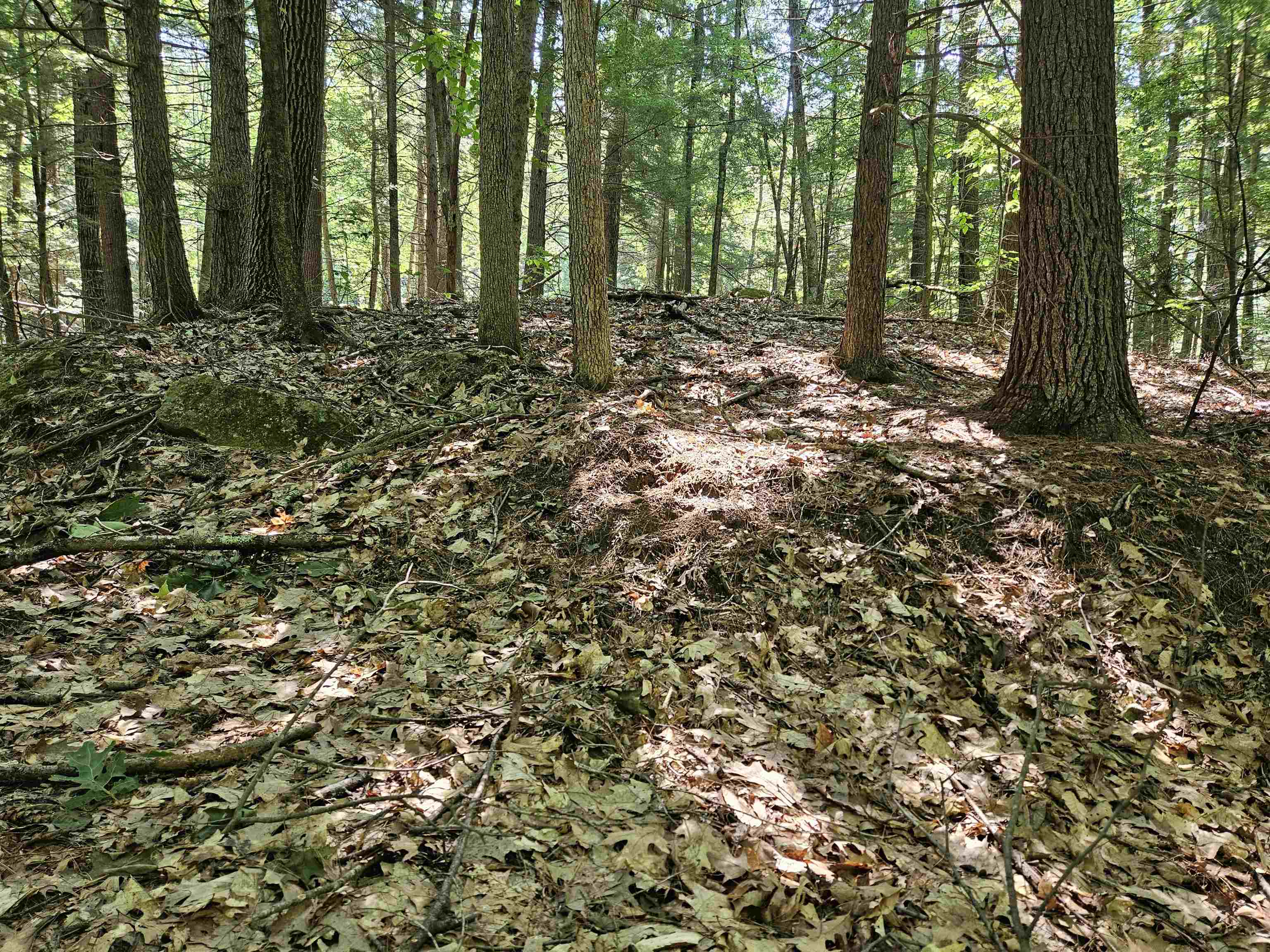 234 Old Cheshire Turnpike, Walpole, NH 03608