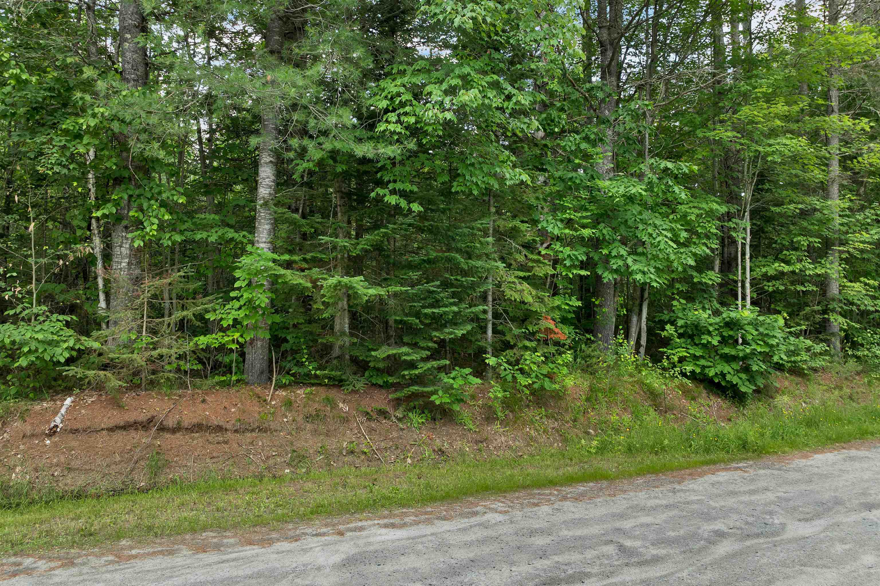 231-70-1 Crane Rd, Whitefield, NH 03598