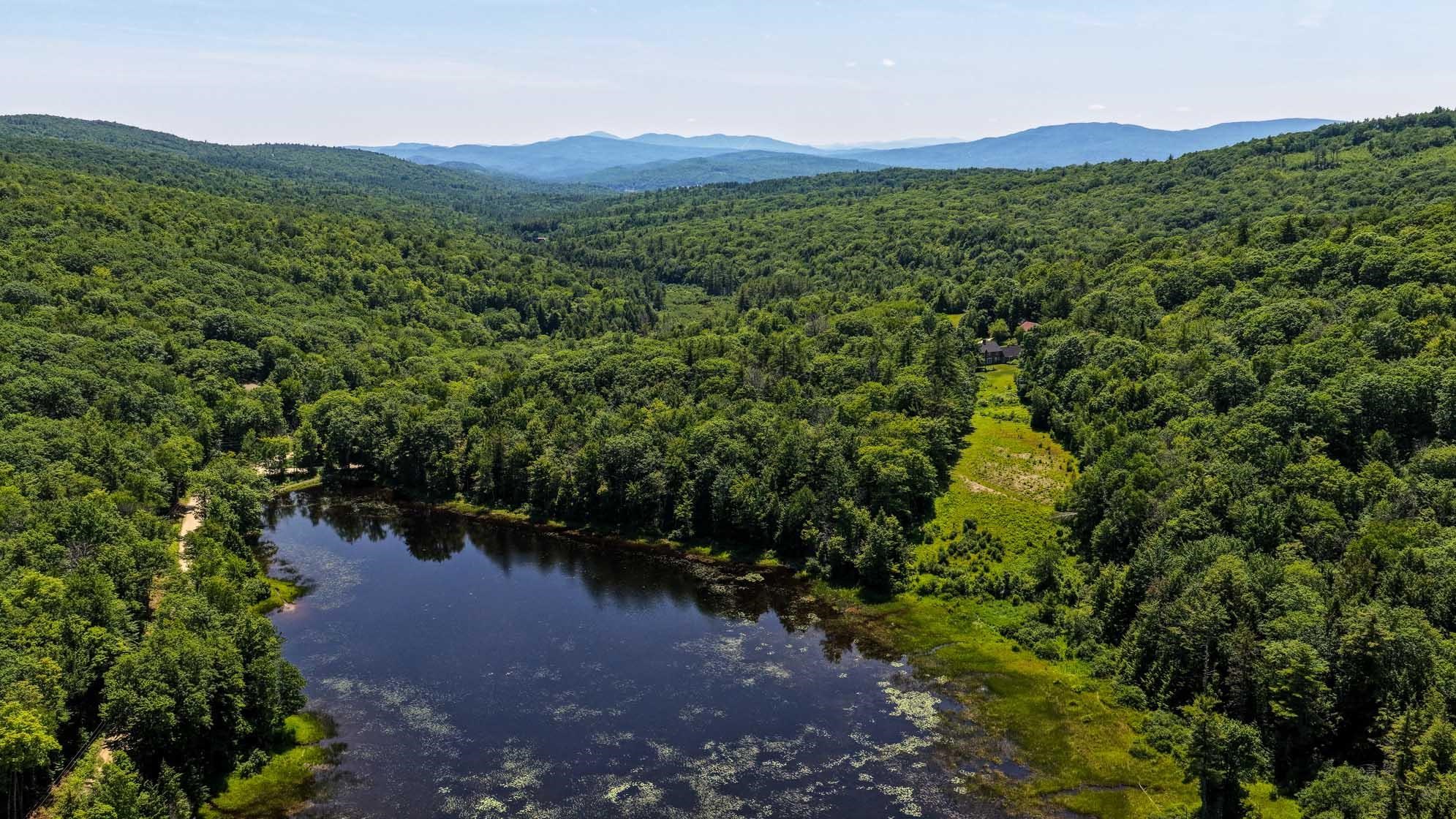 Dick Brown Pond