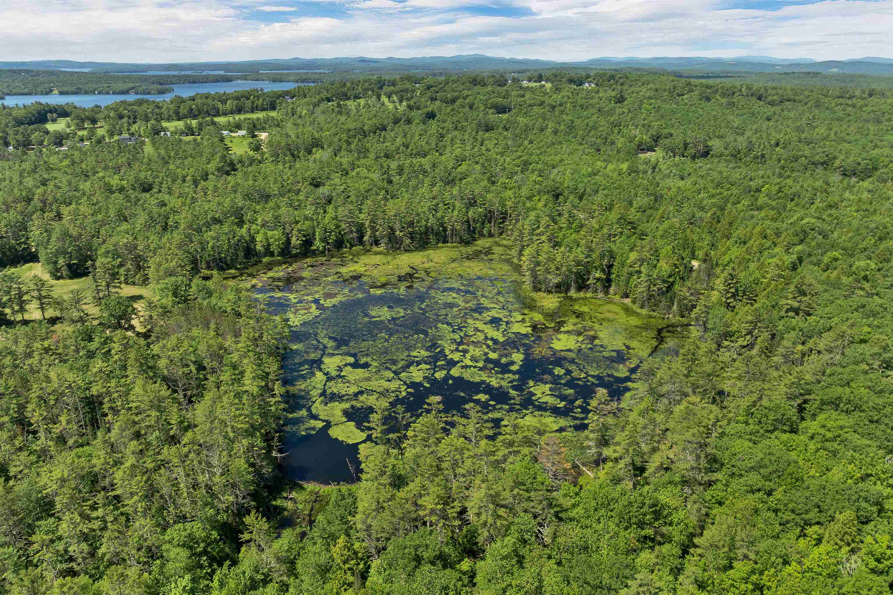 Beaver Pond 2
