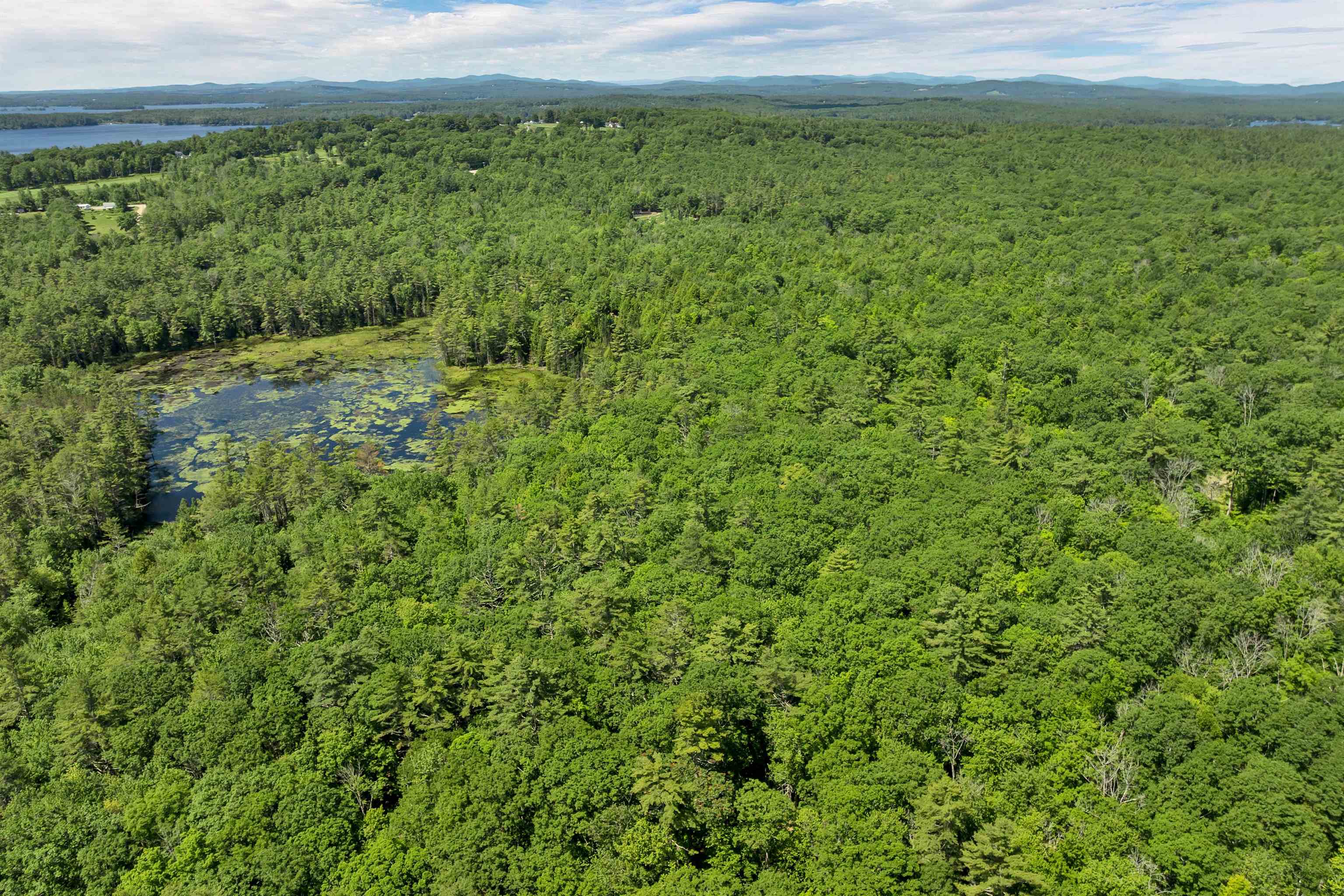 Beaver Pond Facing Easterly
