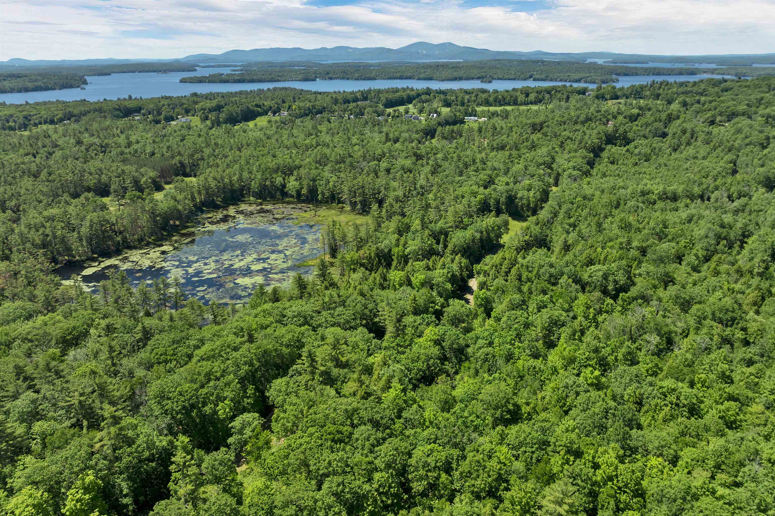 Beaver Pond 3